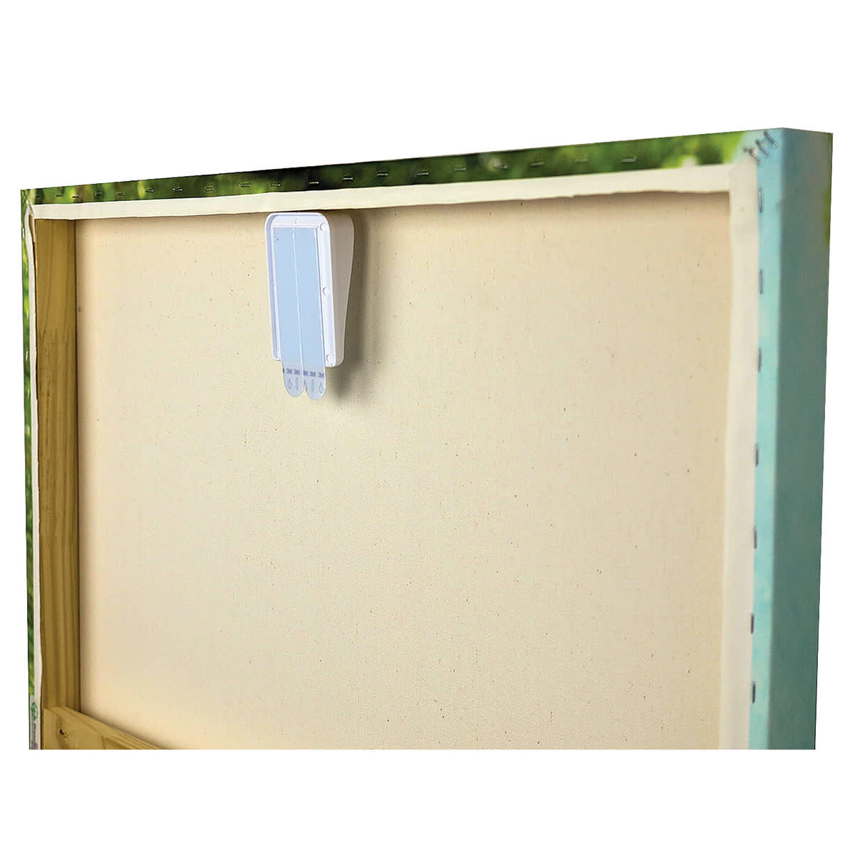 3M Command Canvas Hangers - Back of canvas showing single Jumbo hanger attached
