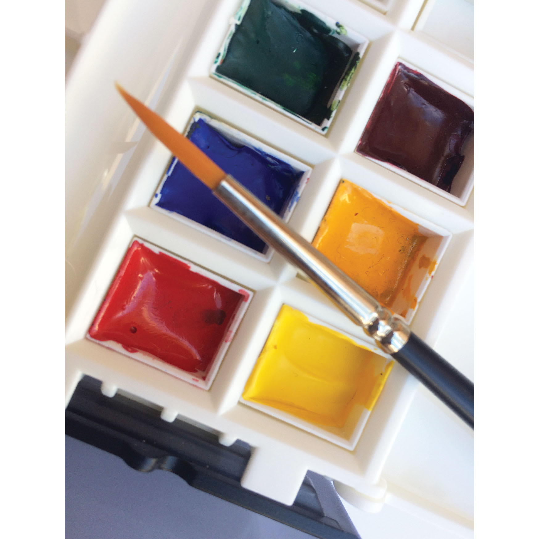 Filled half pans with a brush (not included)