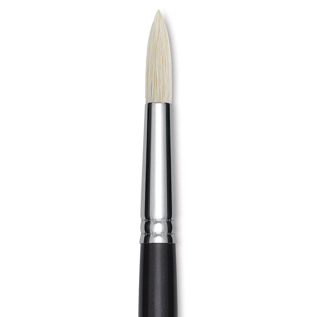 Utrecht Natural Chungking Pure Bristle Brush - Round, Size 8, Long Handle, Close-up
