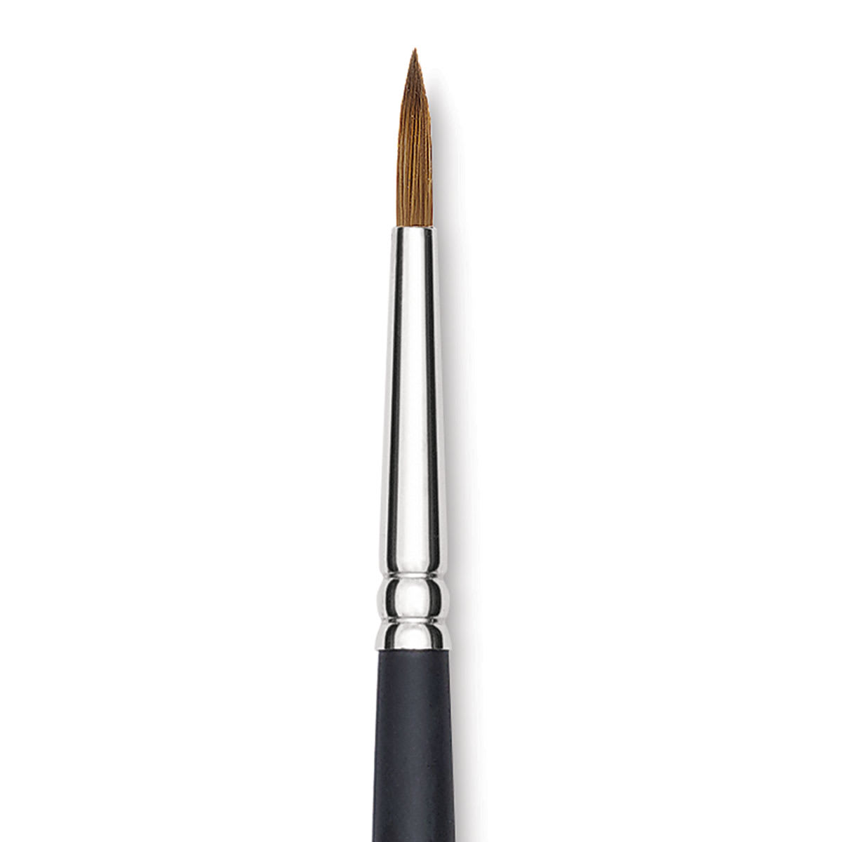 Blick Masterstroke Finest Red Sable Brush - Round, Size 8, Long Handle close-up