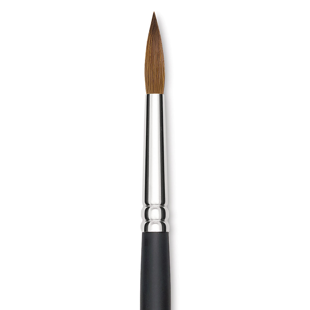 Blick Masterstroke Finest Red Sable Brush - Round, Size 20, Long Handle close-up
