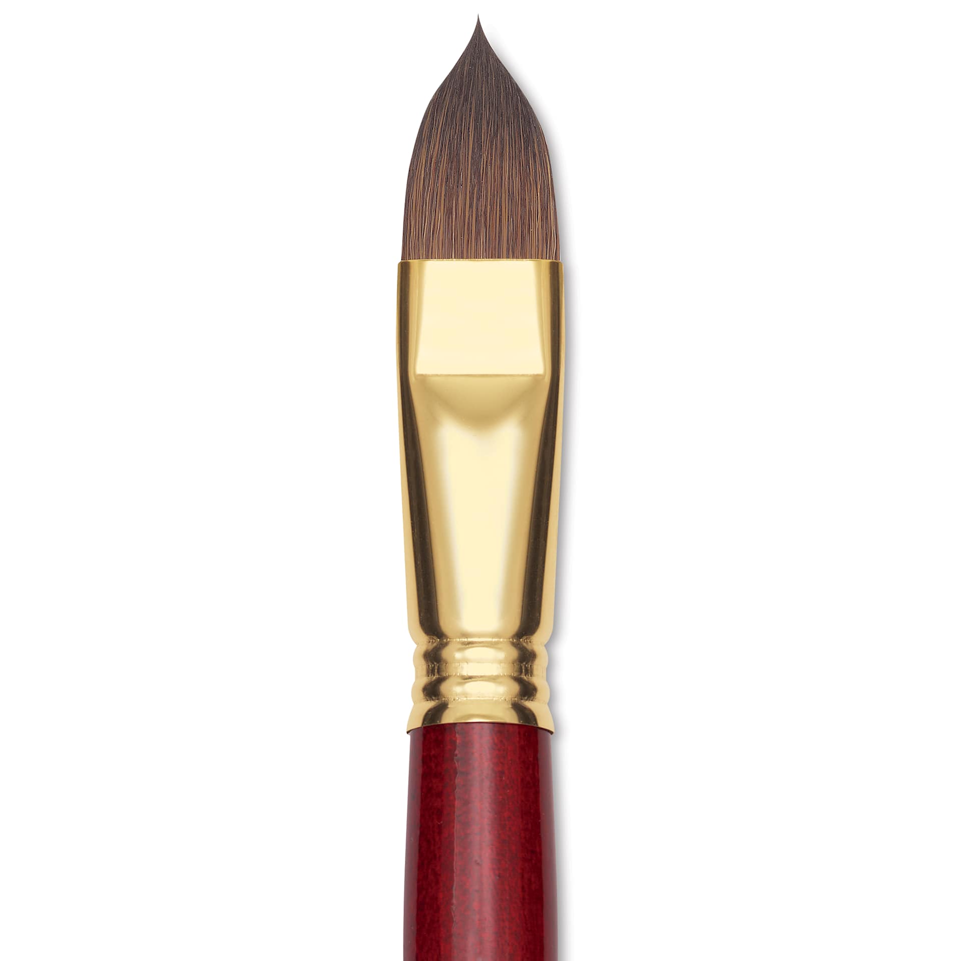 Blick Master Synthetic Kolinsky Brush - Short Handle, Filbert, Size 18, close-up