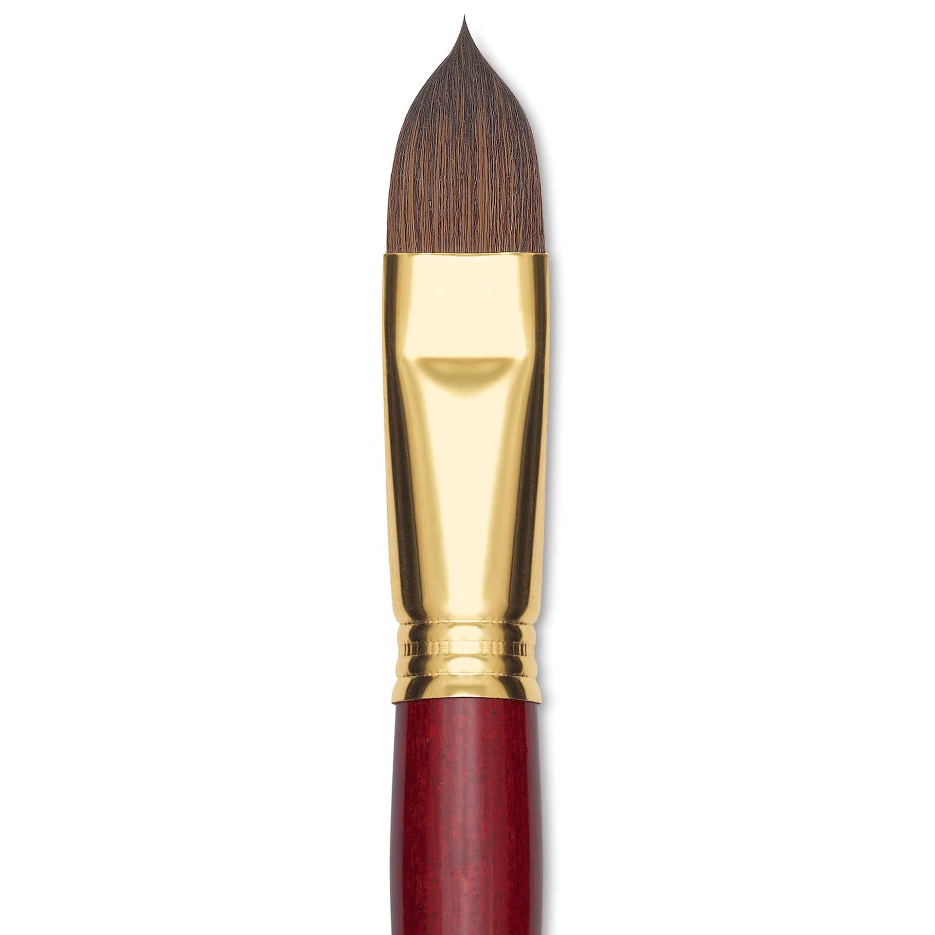Blick Master Synthetic Kolinsky Brush - Short Handle, Filbert, Size 20, close-up