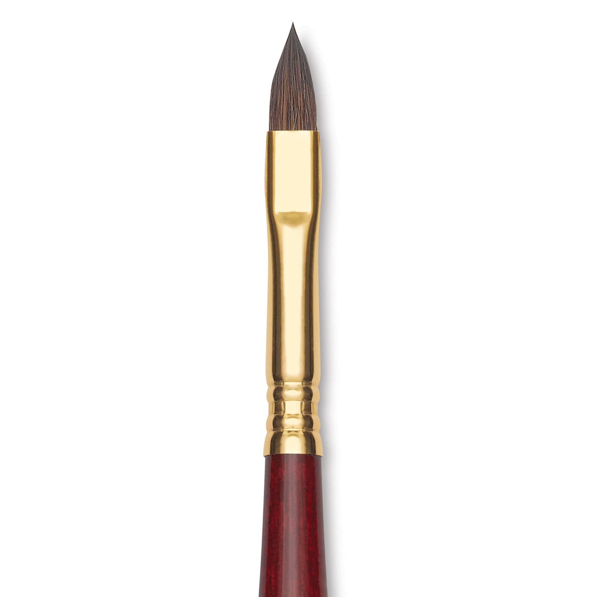 Blick Master Synthetic Kolinsky Brush - Long Handle, Filbert, Size 8, close-up