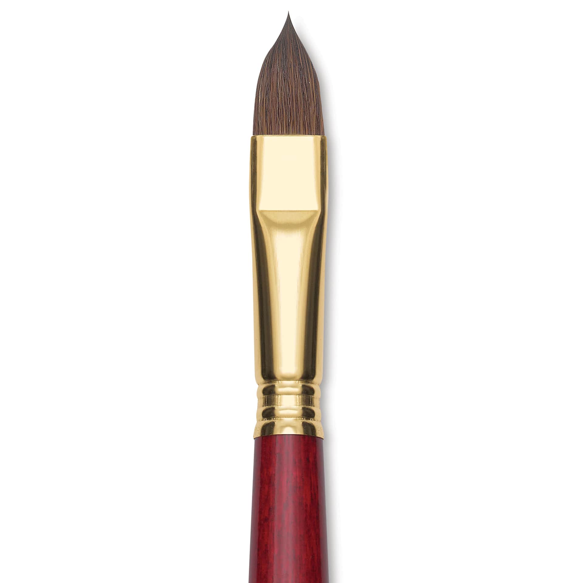 Blick Master Synthetic Kolinsky Brush - Long Handle, Filbert, Size 14, close-up