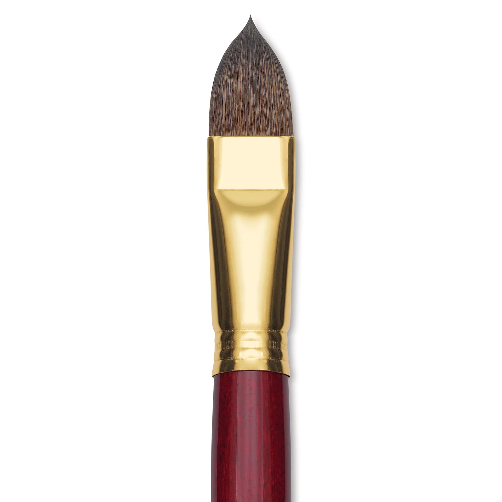 Blick Master Synthetic Kolinsky Brush - Long Handle, Filbert, Size 20, close-up