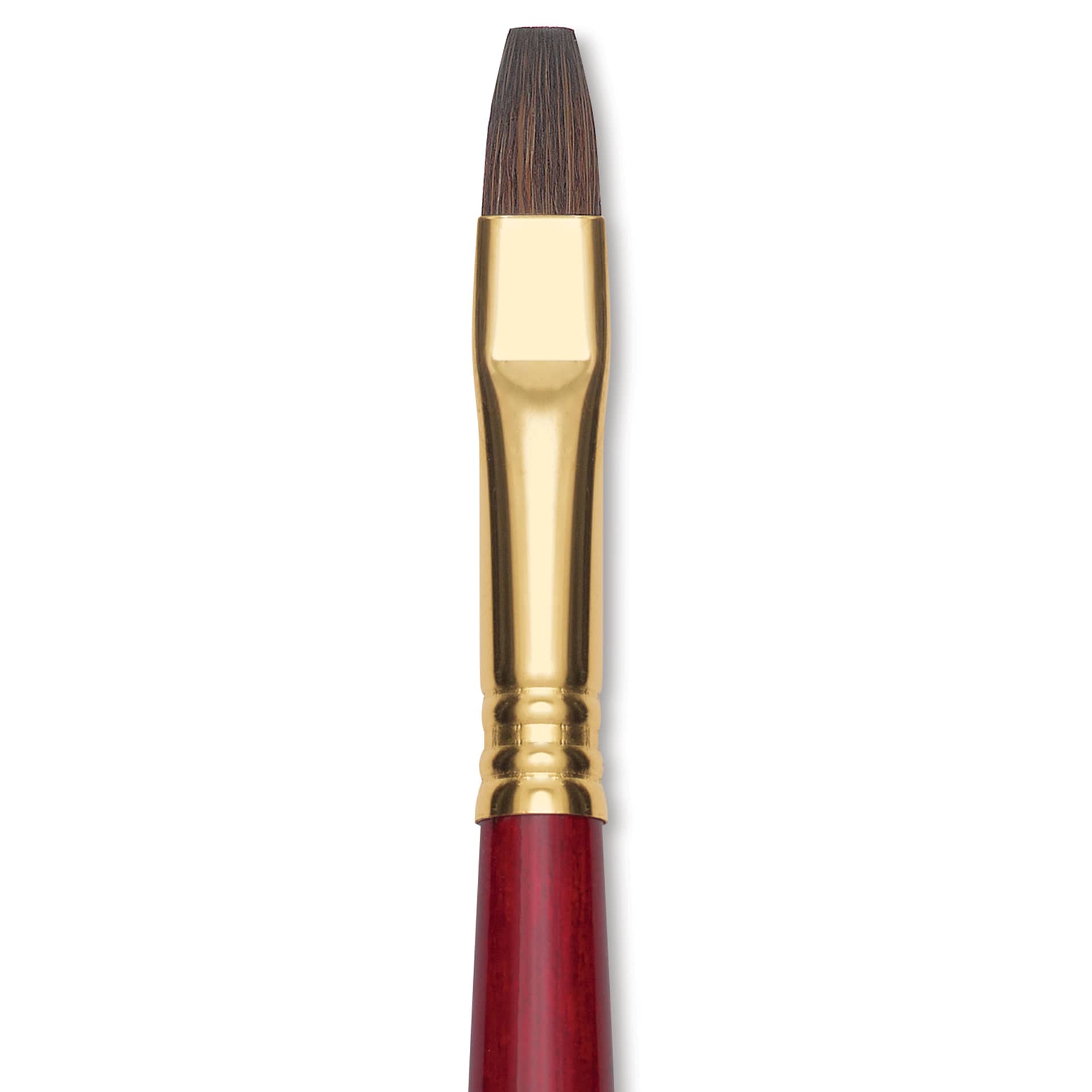 Blick Master Synthetic Kolinsky Brush - Long Handle, Bright, Size 10, close-up