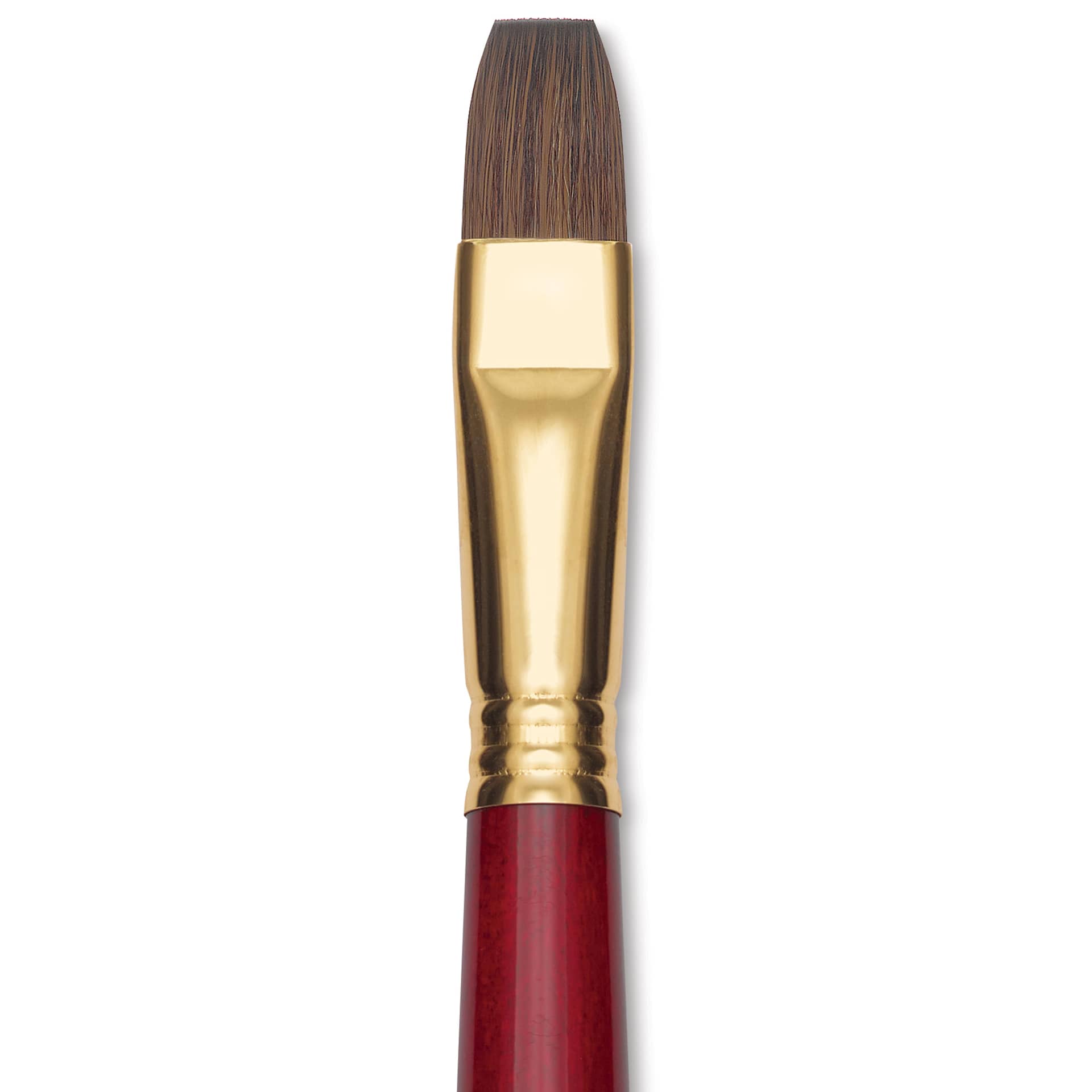 Blick Master Synthetic Kolinsky Brush - Long Handle, Bright, Size 16, close-up