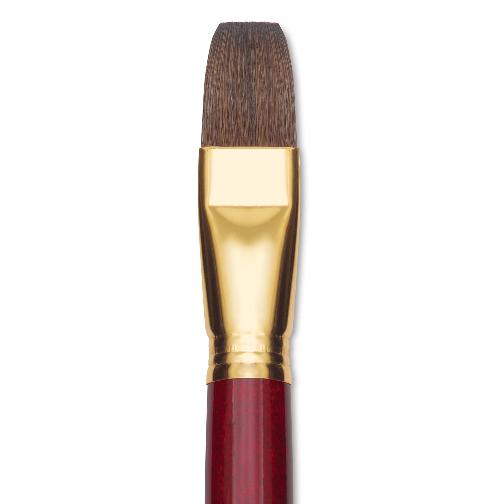 Blick Master Synthetic Kolinsky Brush - Long Handle, Bright, Size 24, close-up