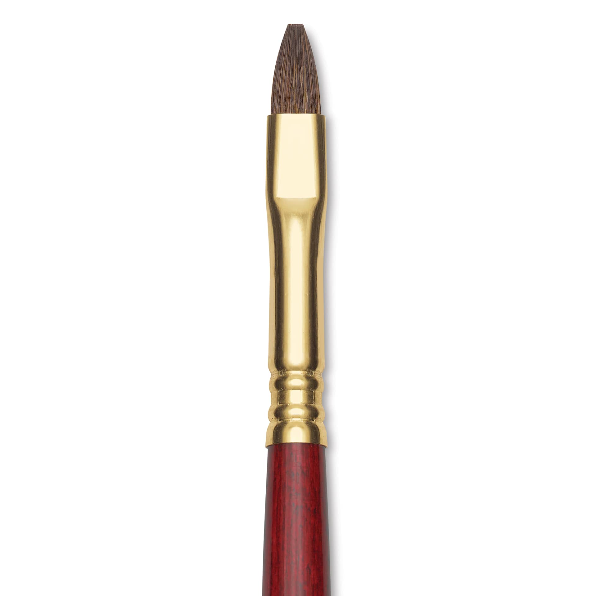 Blick Master Synthetic Kolinsky Brush - Short Handle, Bright, Size 8, close-up