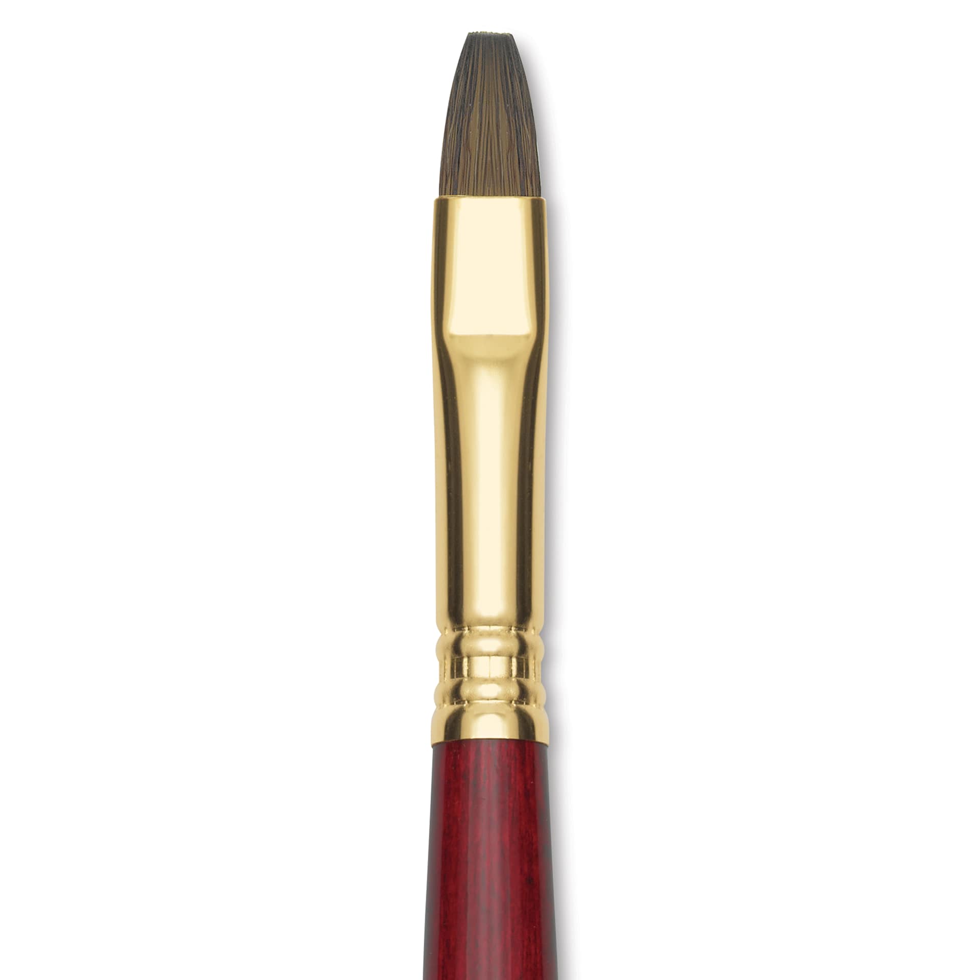 Blick Master Synthetic Kolinsky Brush - Short Handle, Bright, Size 10, close-up