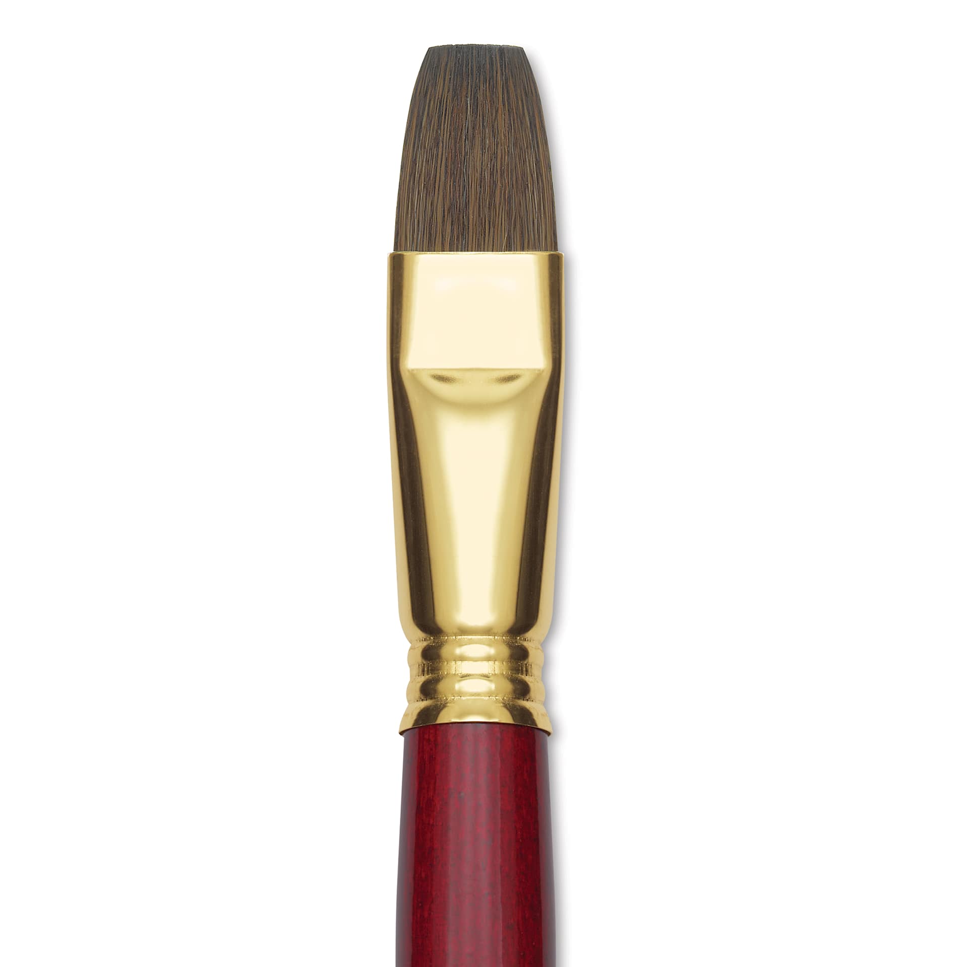 Blick Master Synthetic Kolinsky Brush - Short Handle, Bright, Size 18, close-up