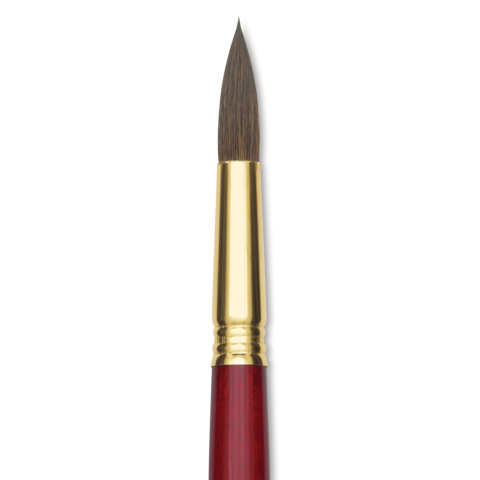Blick Master Synthetic Kolinsky Brush - Long Handle, Round, Size 16, close-up