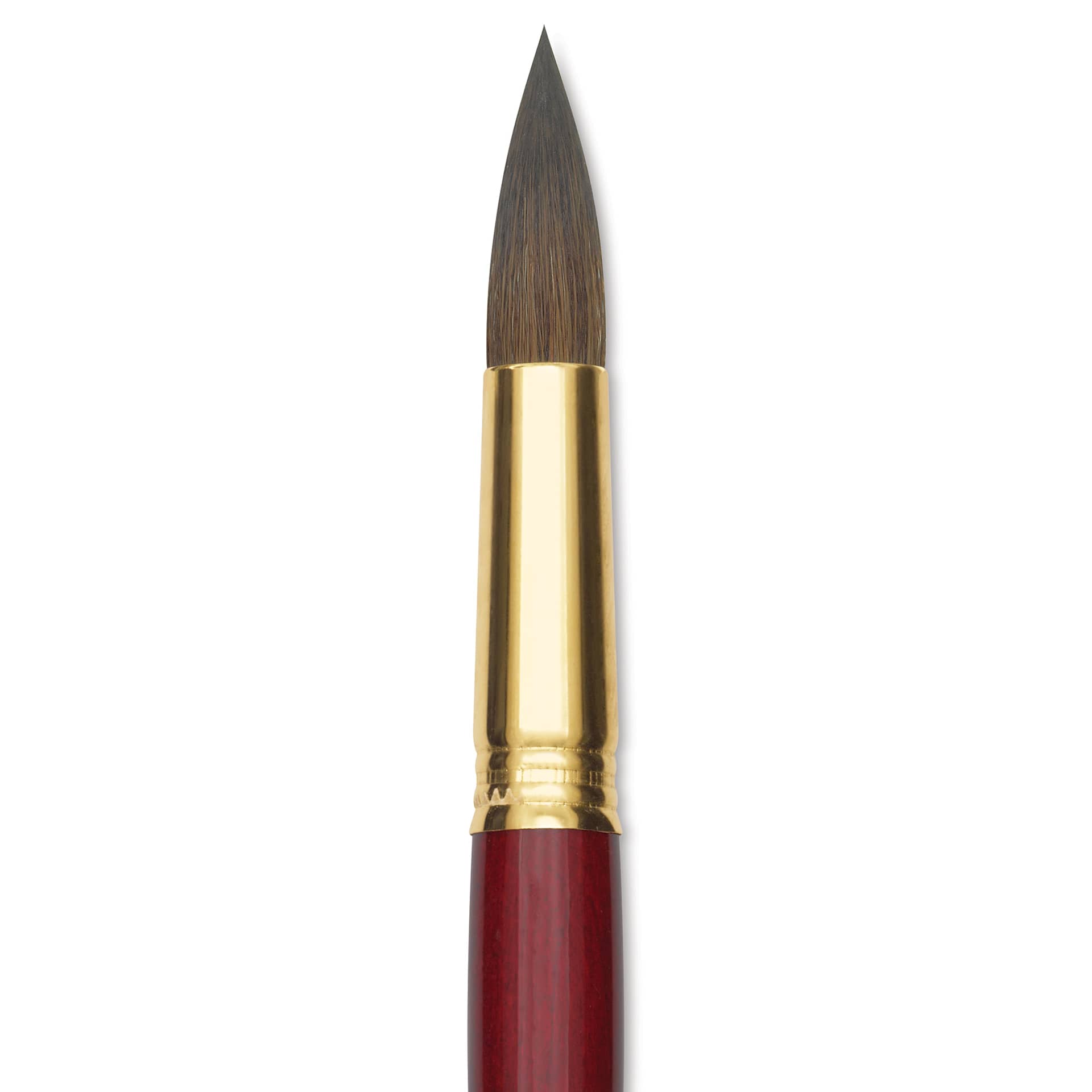 Blick Master Synthetic Kolinsky Brush - Long Handle, Round, Size 20, close-up