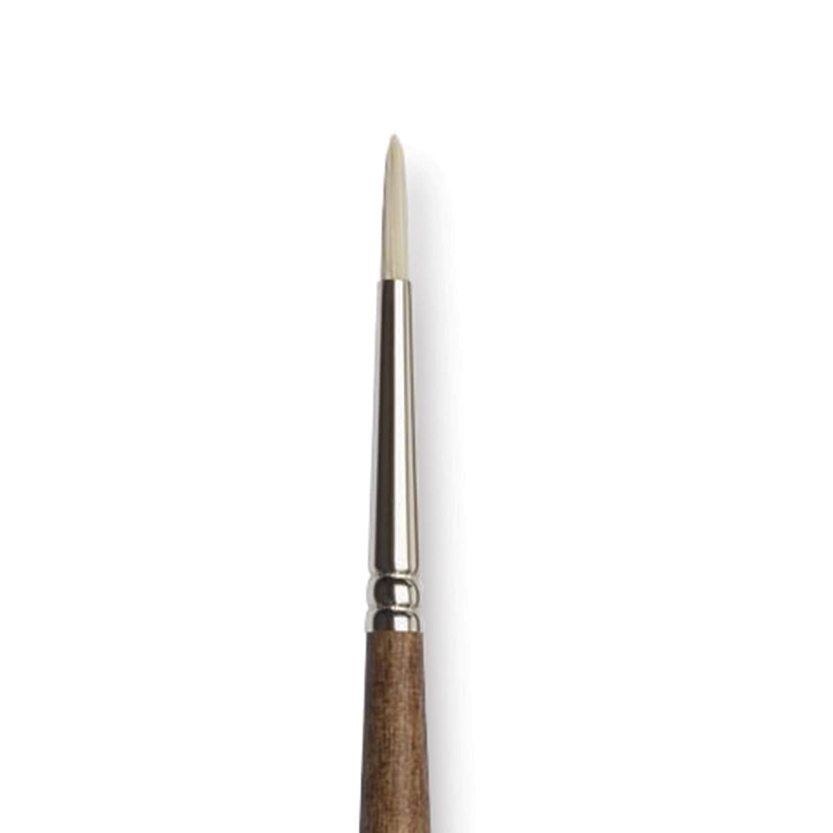 Winsor & Newton Artists' Oil Synthetic Hog Brush - Round, Size 1, Long Handle (close-up)