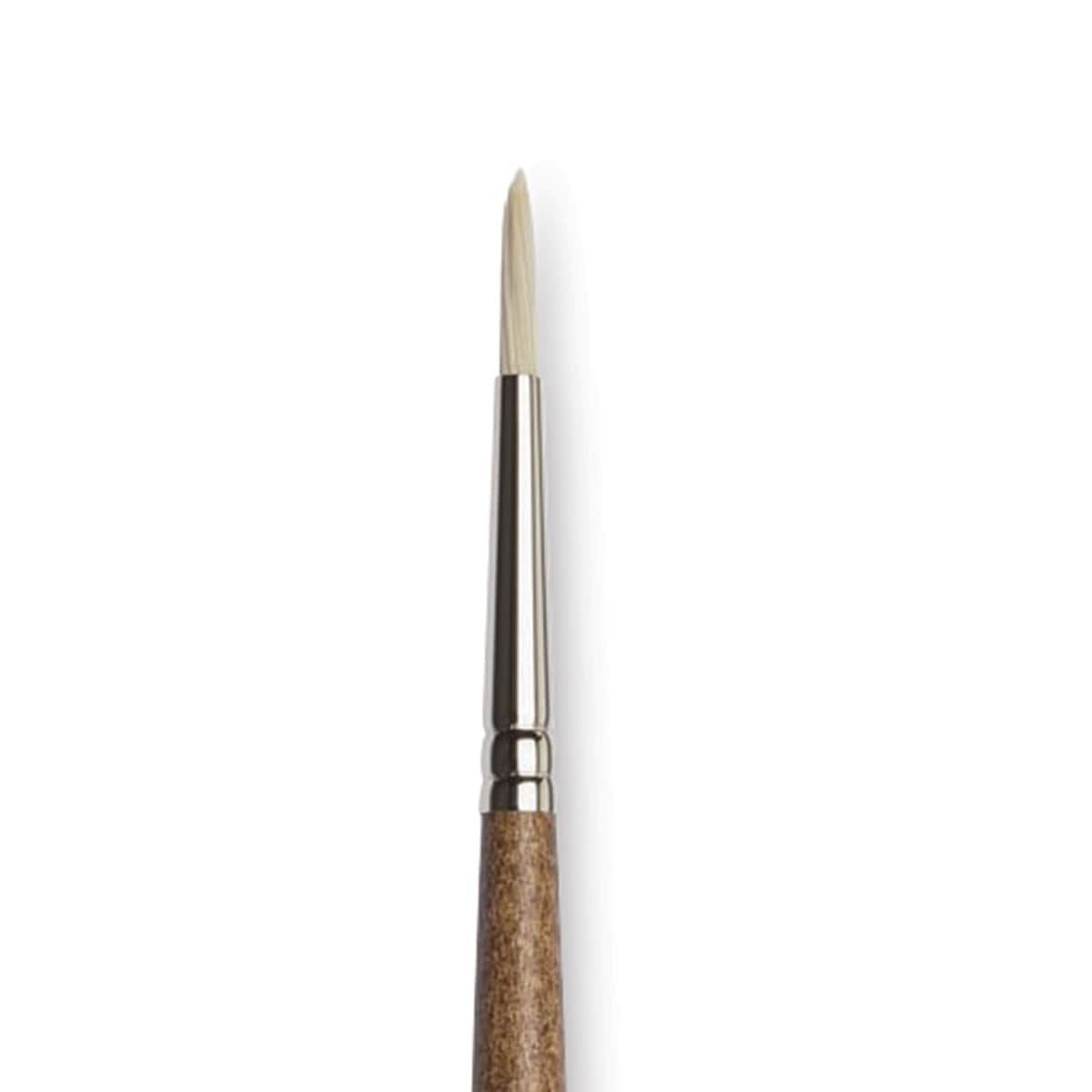 Winsor & Newton Artists' Oil Synthetic Hog Brush - Round, Size 2, Long Handle (close-up)