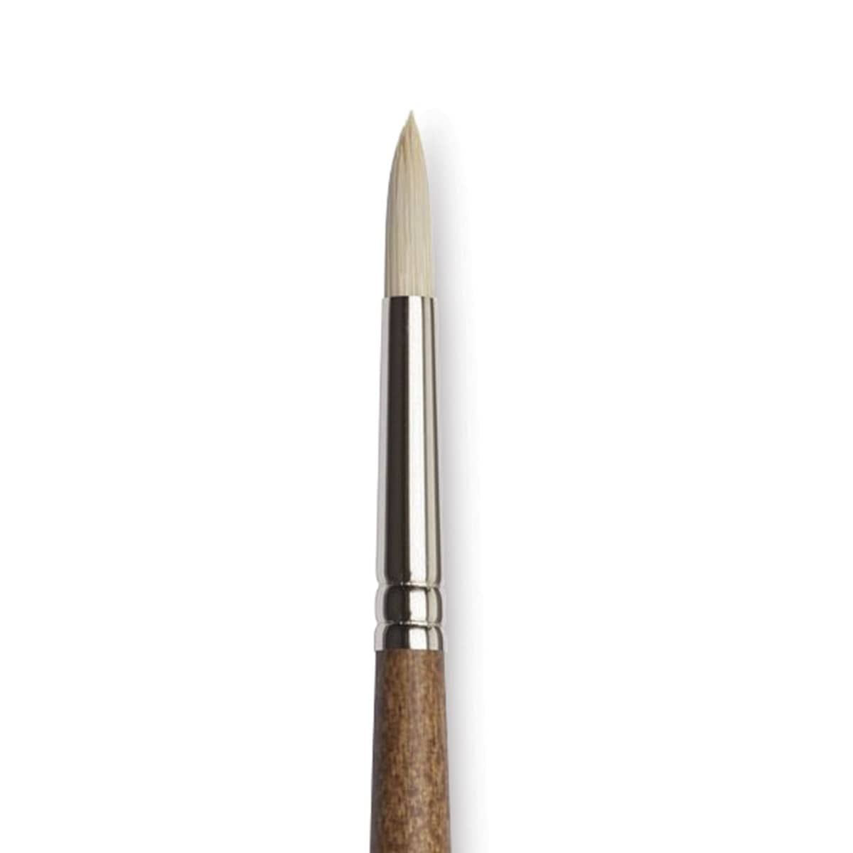 Winsor & Newton Artists' Oil Synthetic Hog Brush - Round, Size 4, Long Handle (close-up)