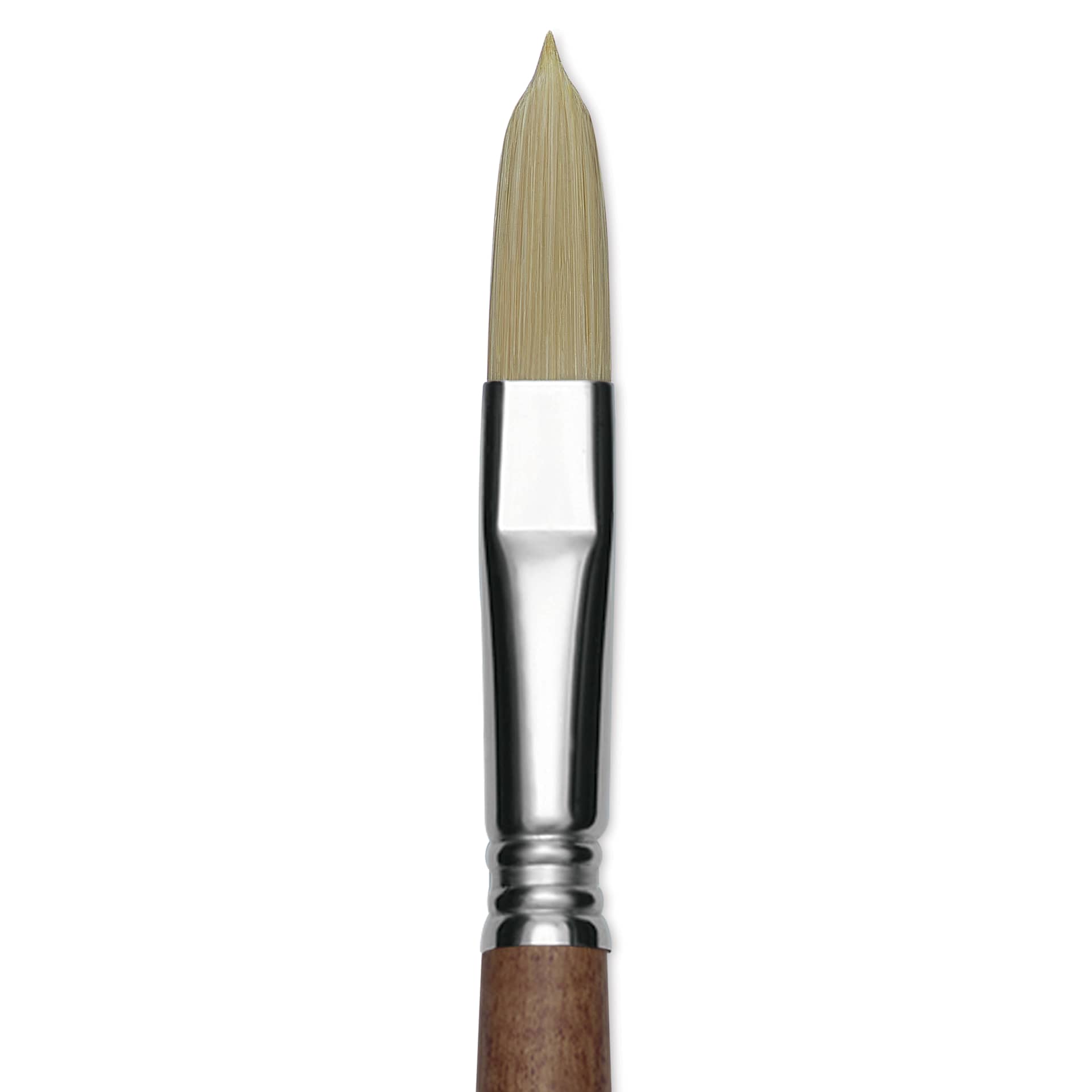 Escoda Futura Synthetic Bristle Brush - Series 5418, Long Filbert, Size 12, Long Handle, close-up