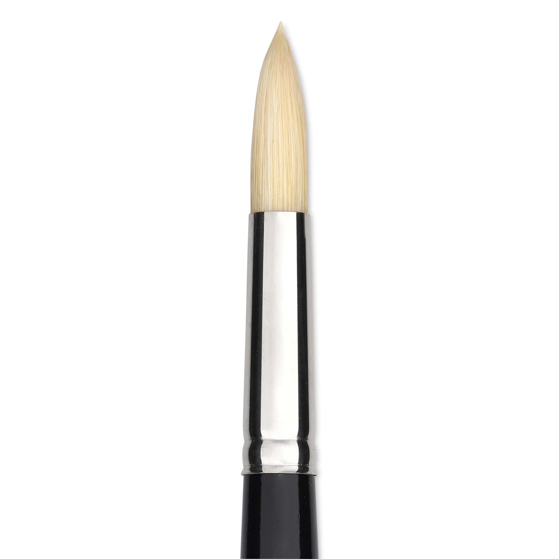 Trekell Hog Bristle Brush - Round, Long Handle, Size 12, close up