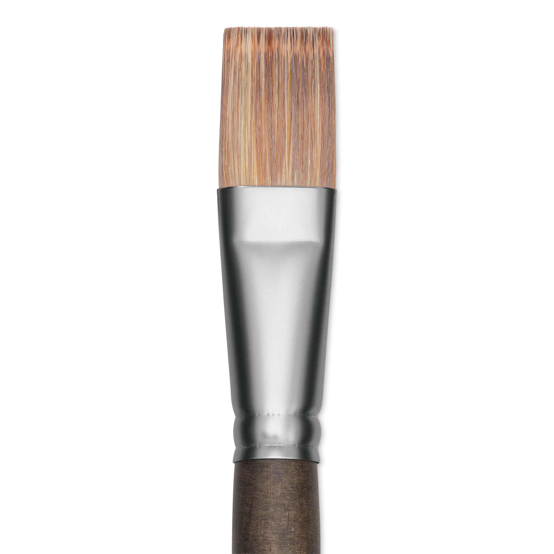 Princeton Pro Series 6000 Brush - Flat, Long Handle, Size 10, close up