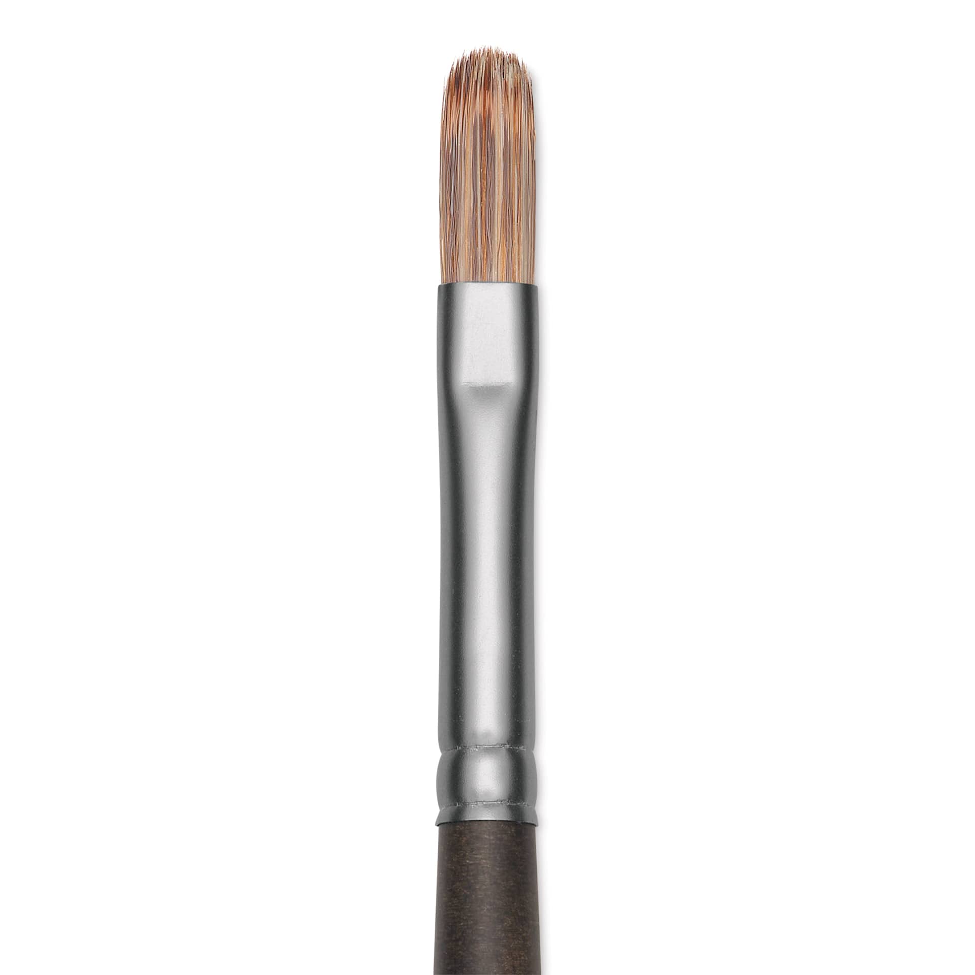 Princeton Pro Series 6000 Brush - Filbert, Long Handle, Size 2, close up