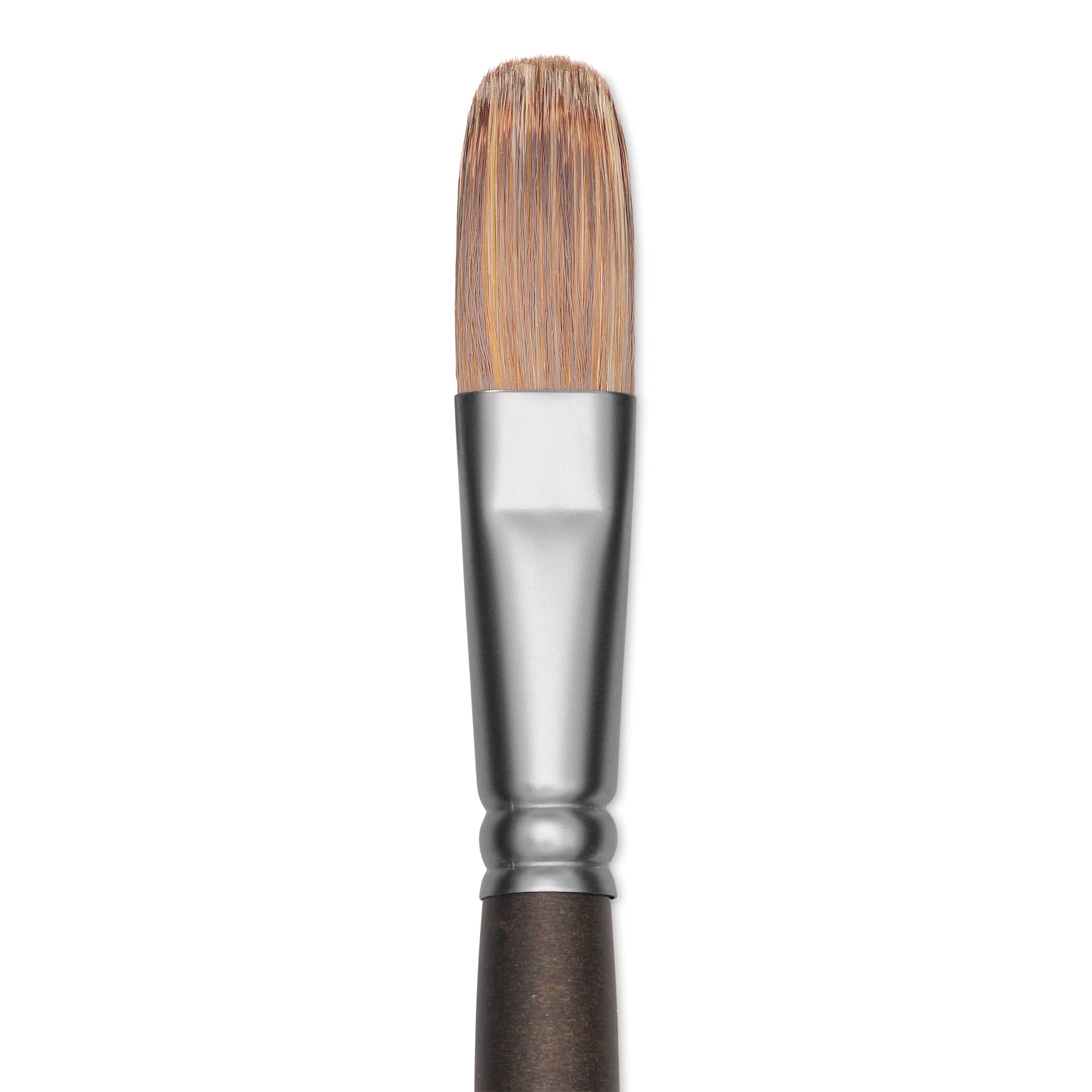 Princeton Pro Series 6000 Brush - Filbert, Long Handle, Size 8, close up