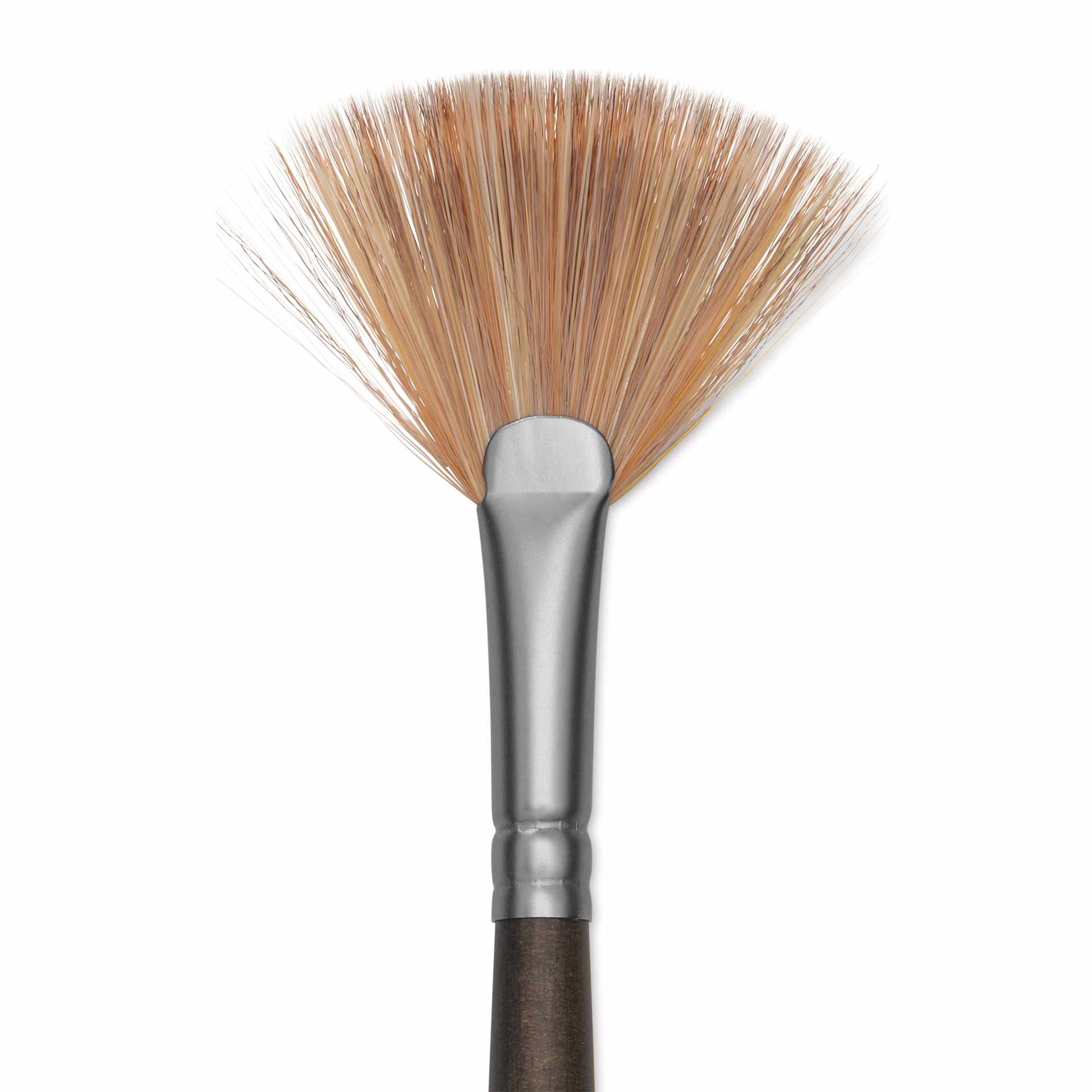 Princeton Pro Series 6000 Brush - Fan, Long Handle, Size 3, close up