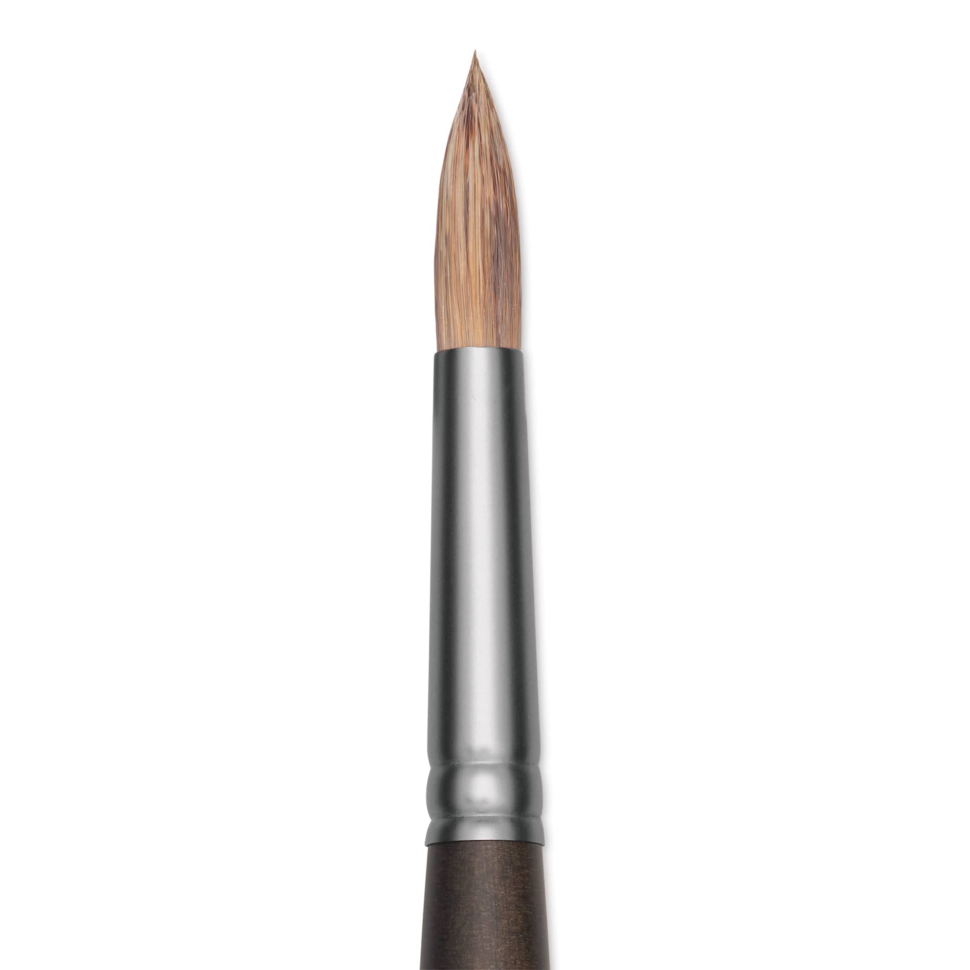 Princeton Pro Series 6000 Brush - Round, Long Handle, Size 6, close up