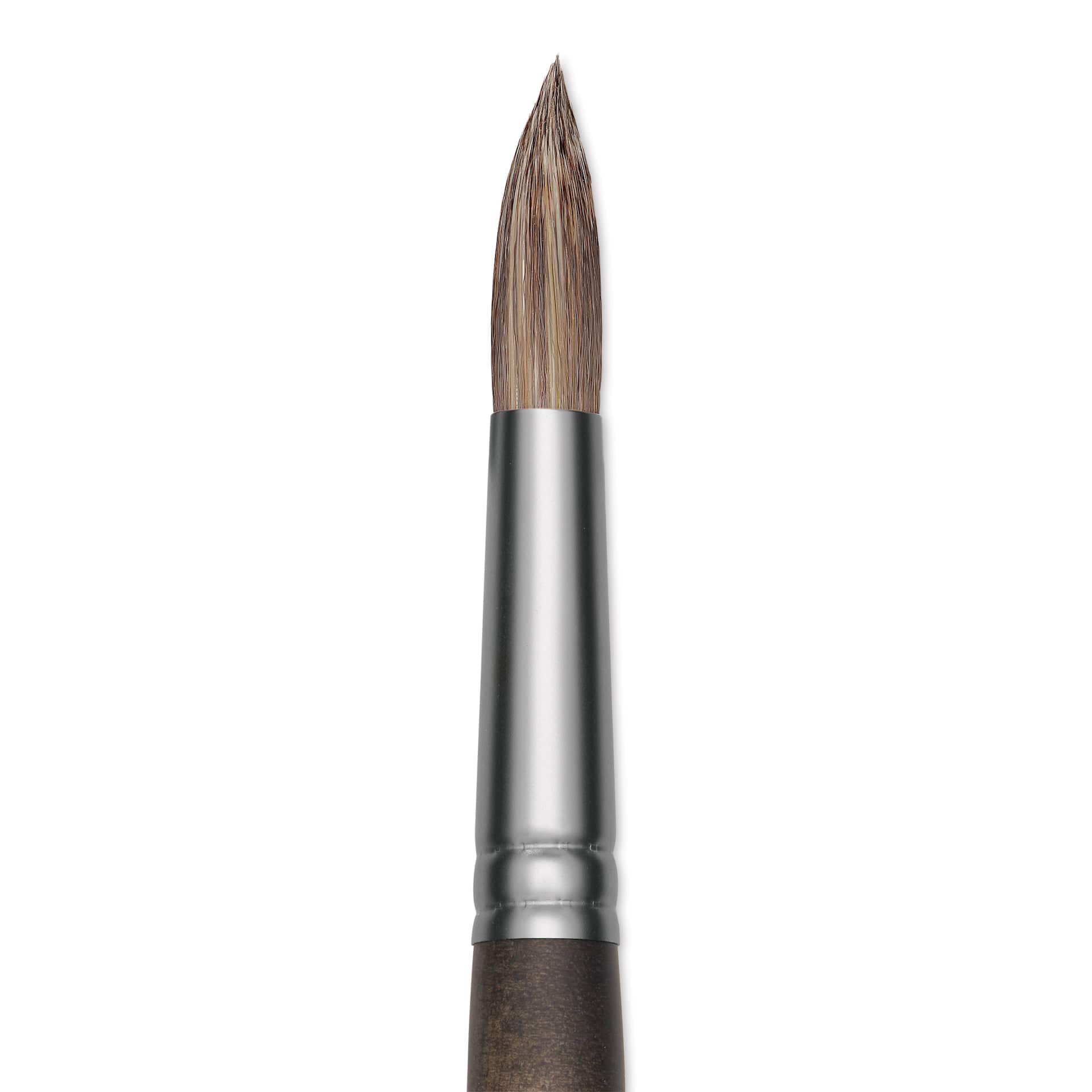 Princeton Pro Series 6000 Brush - Round, Long Handle, Size 8, close up