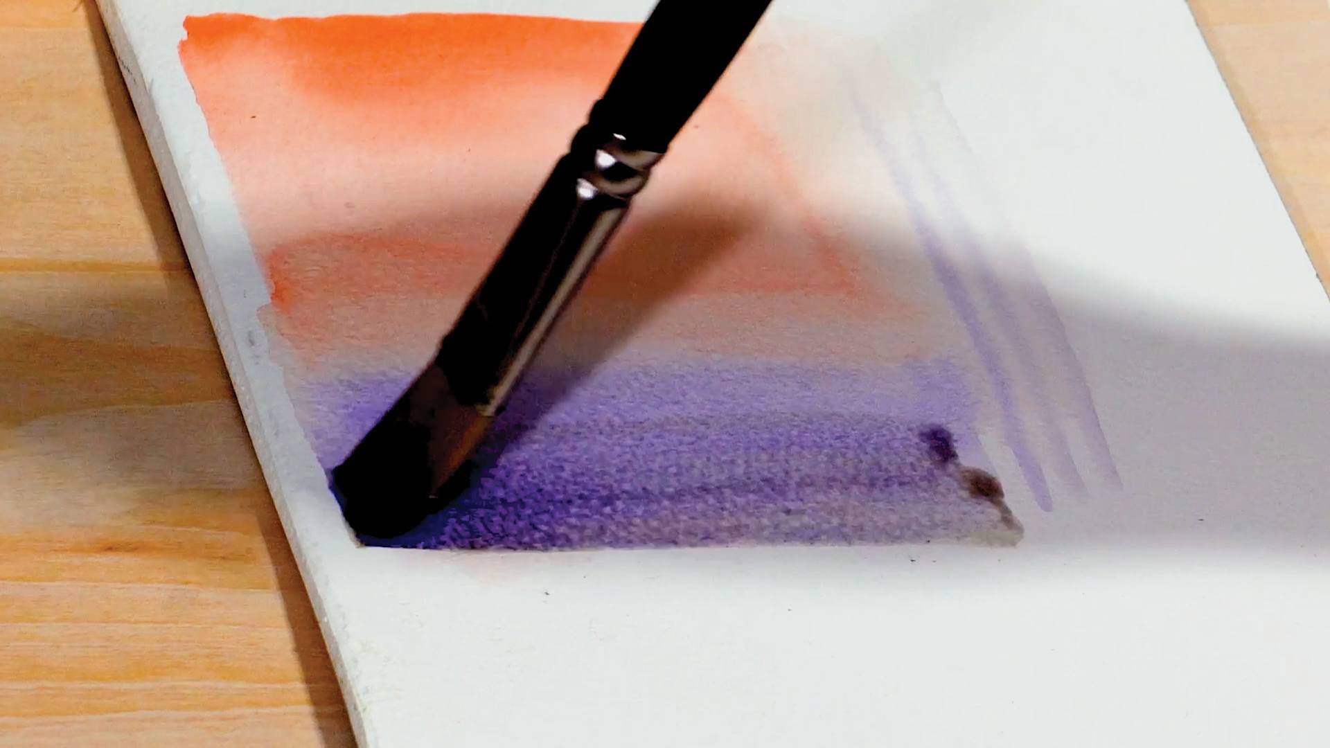 Princeton Pro Series 6000 Brushes. used with watercolor paints 