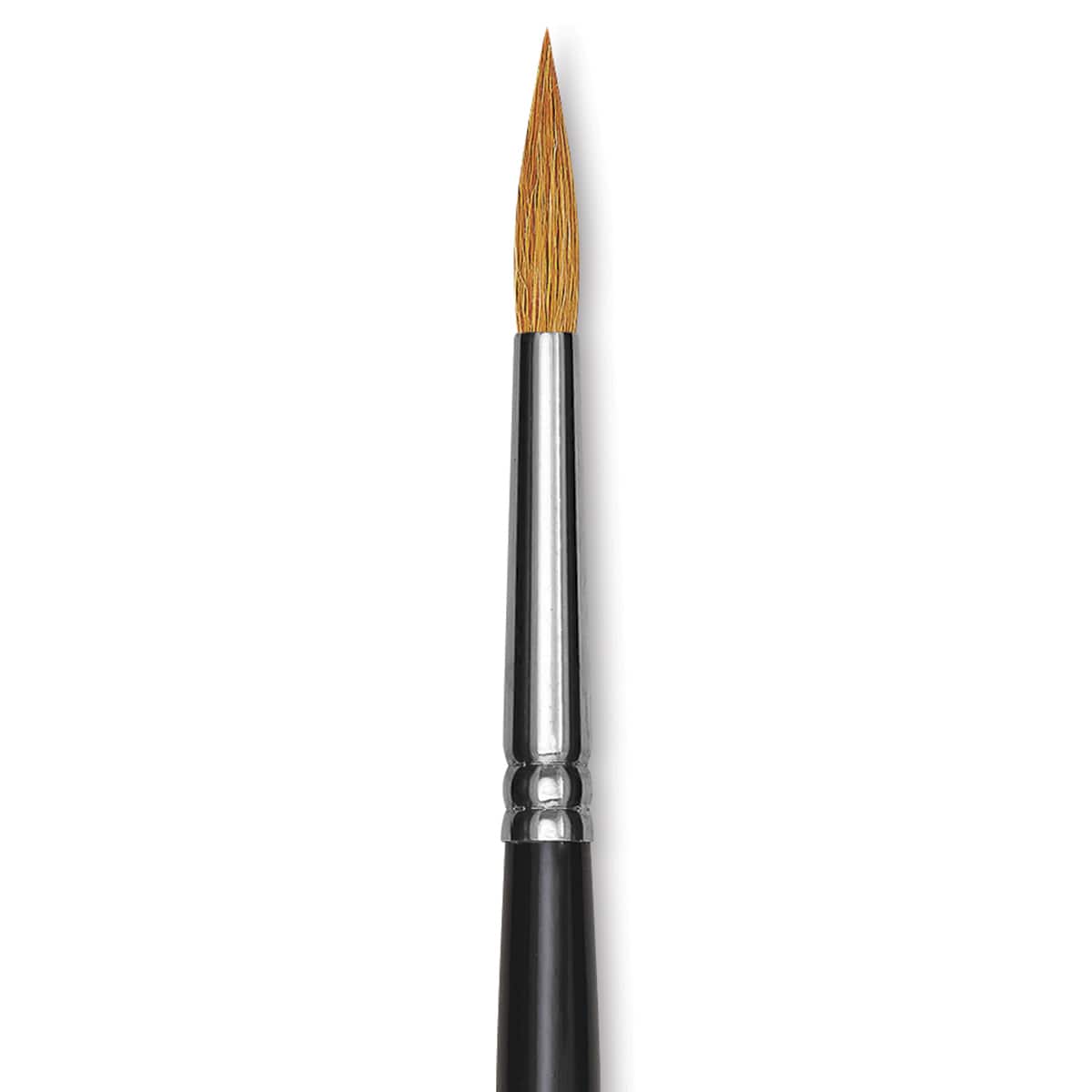 Blick Pointed Scholastic Brush - Round, Short Handle, Size 8 close-up