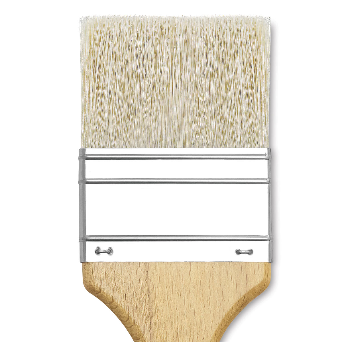 Blick Scholastic White Bristle Brush - Gesso, 2 1/2" close up