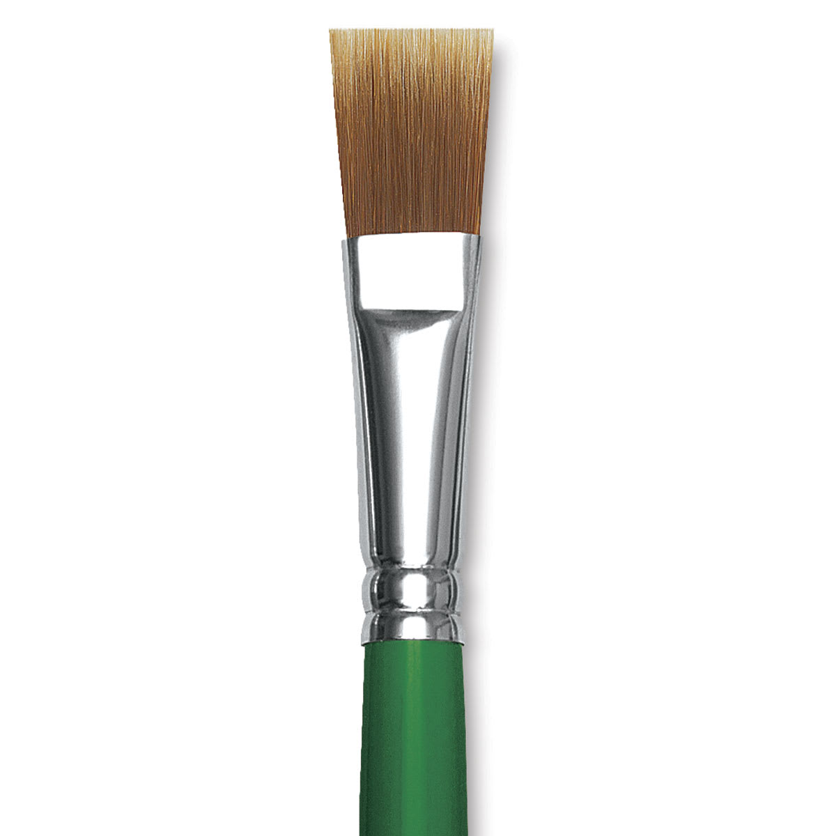 Blick Economy Golden Nylon Brush - Bright, Long Handle, Size 16 close up