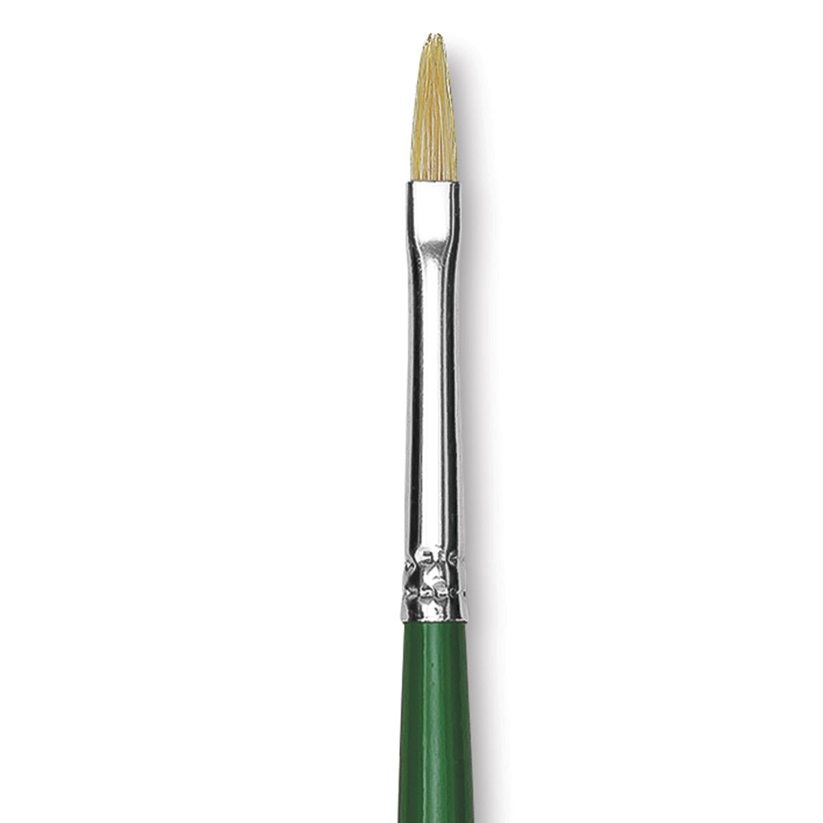 Blick Economy White Bristle Brush - Filbert, Size 1 close up