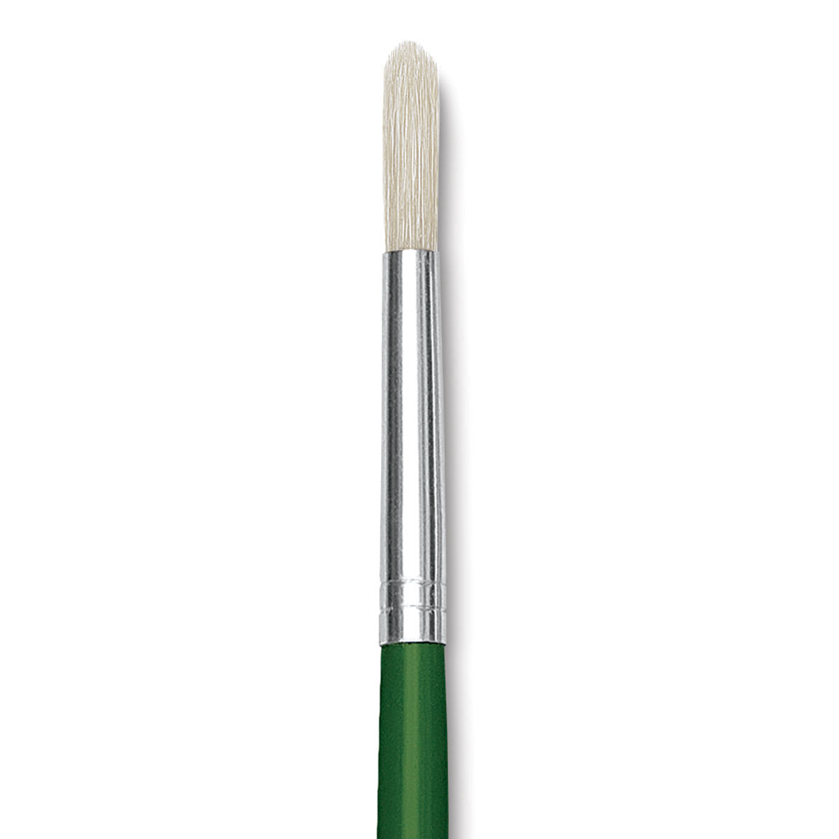 Blick Economy White Bristle Brush - Round, Size 8 close up