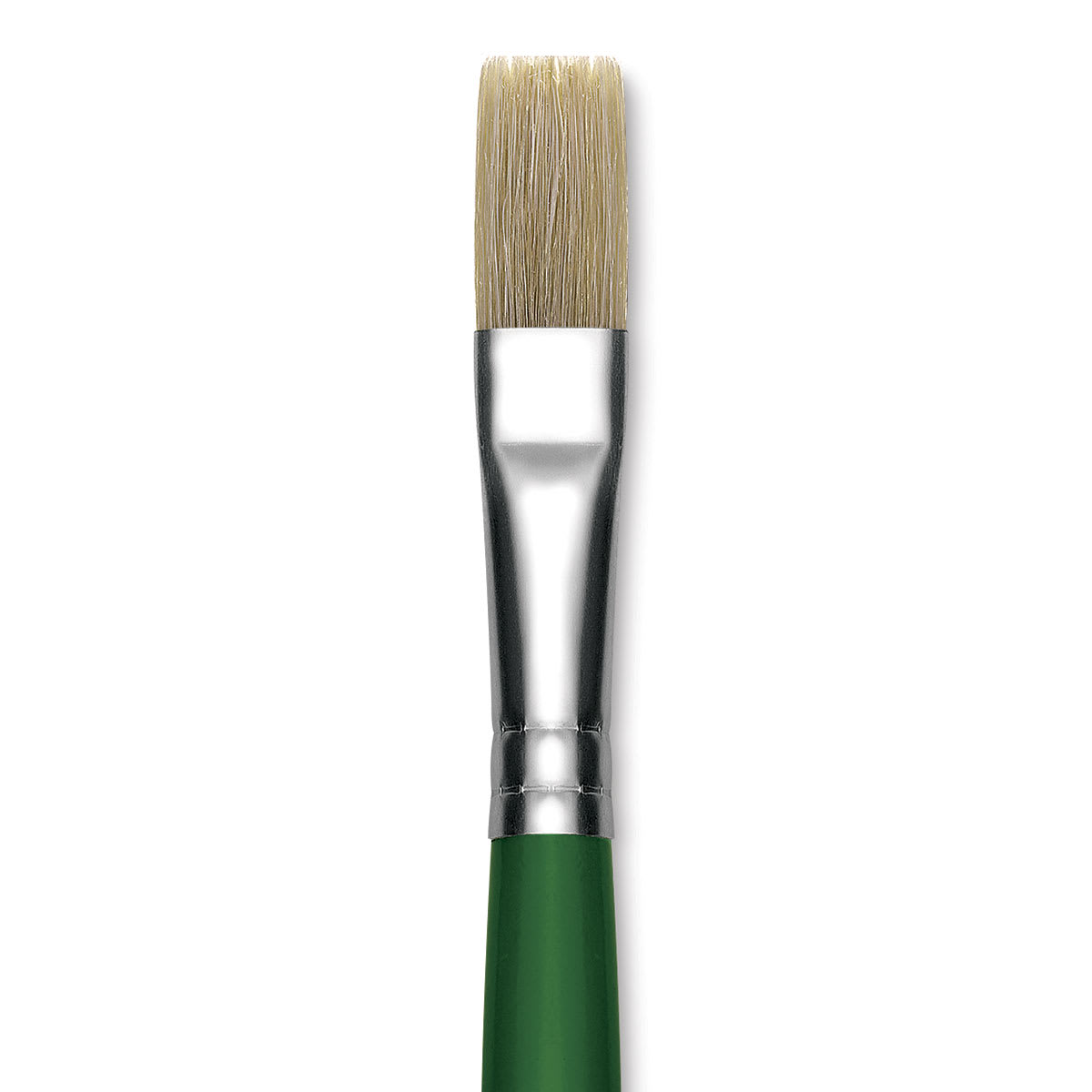 Blick Economy White Bristle Brush - Flat, Size 16 close up