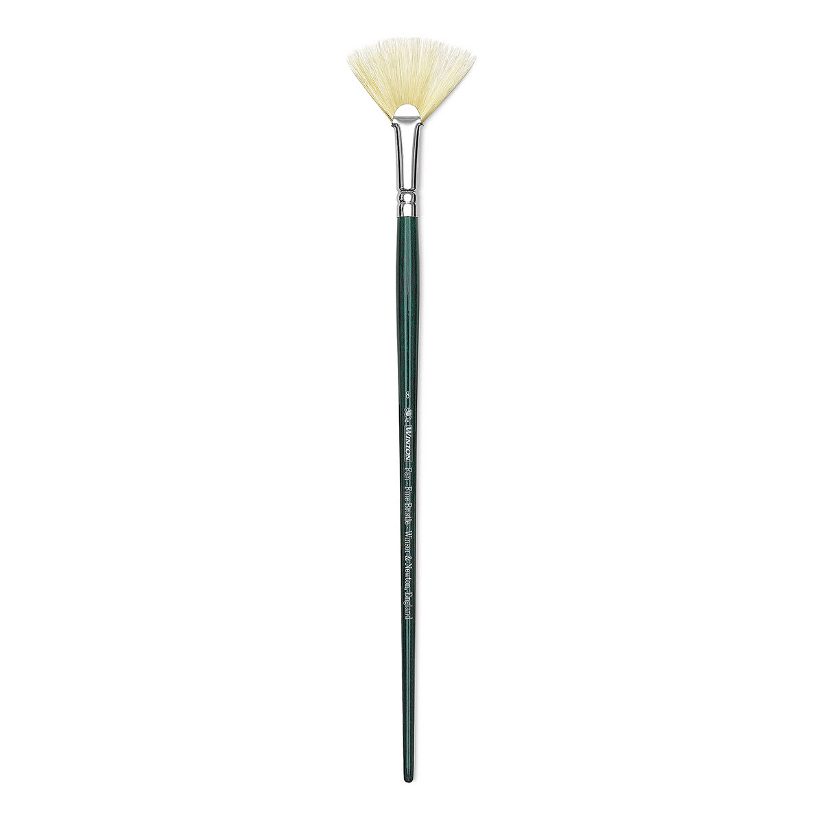 Winsor & Newton Winton Hog Bristle Brush - Fan, Long Handle, Size 8