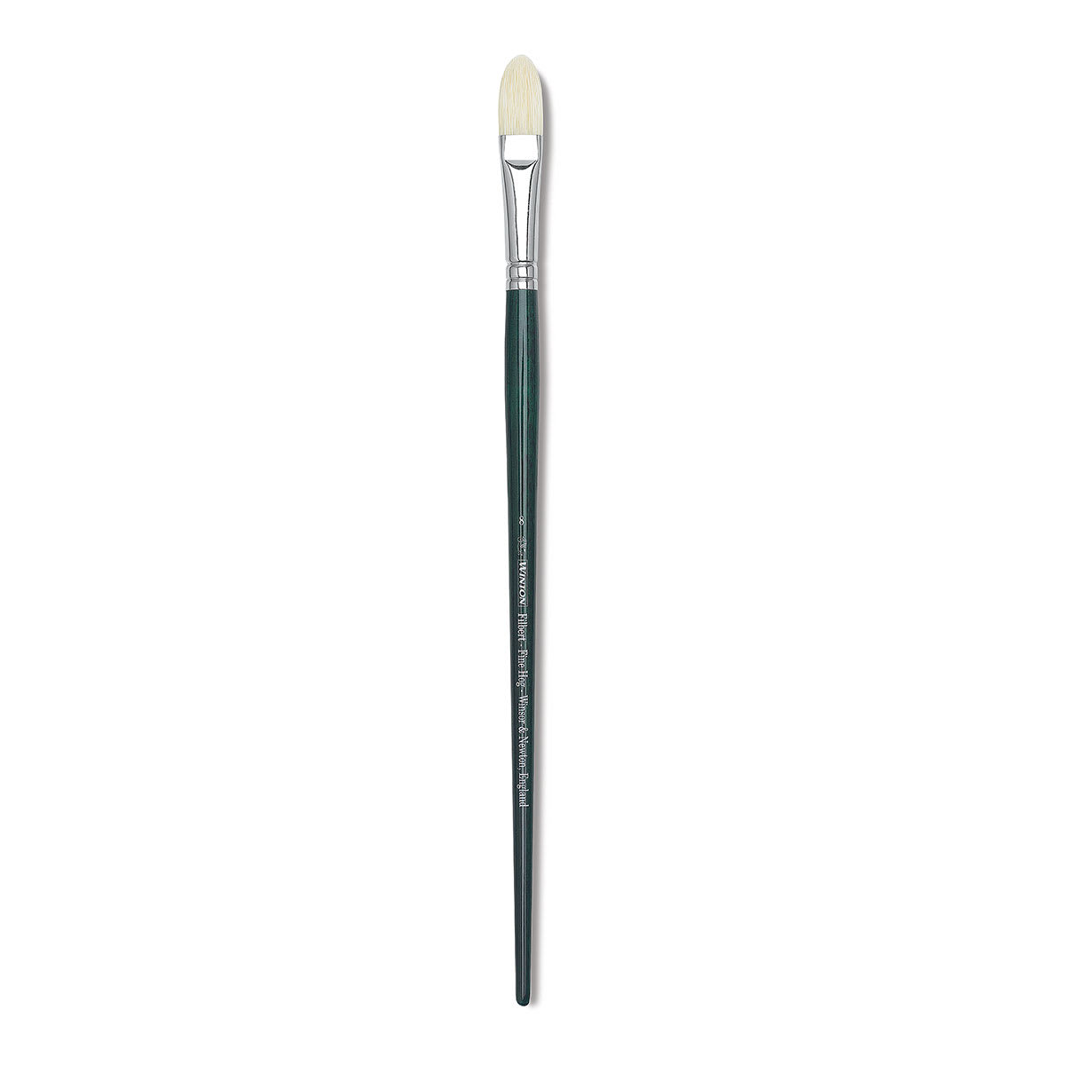 Winsor & Newton Winton Hog Bristle Brush - Filbert, Long Handle, Size 8