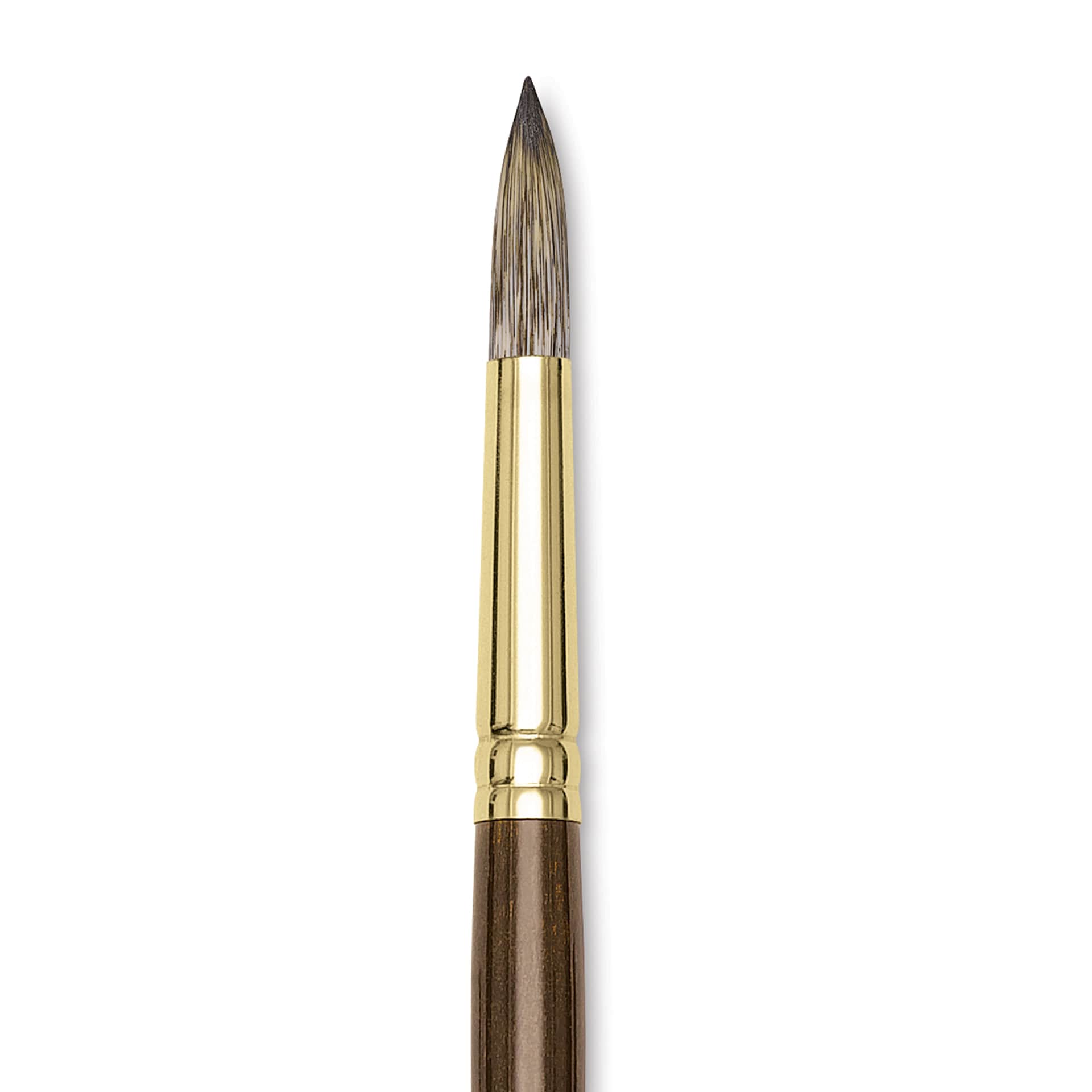 Winsor & Newton Monarch Mongoose Brush - Round, Long Handle, Size 12, close up