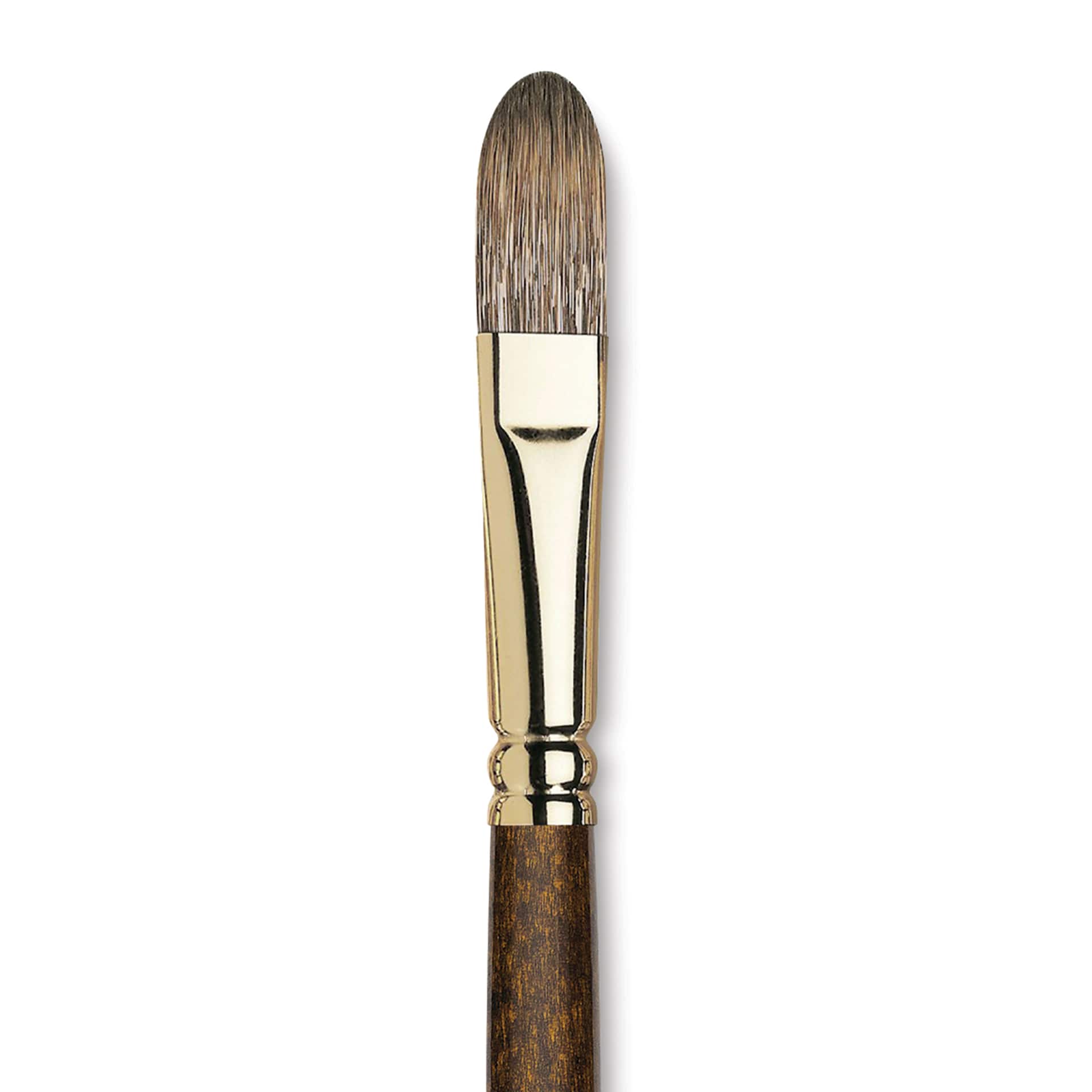Winsor & Newton Monarch Mongoose Brush - Filbert, Long Handle, Size 12, close up