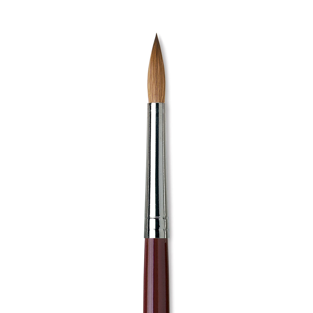 Da Vinci Kolinsky Red Oil Sable Brush - Round, Long Handle, Size 14 close up