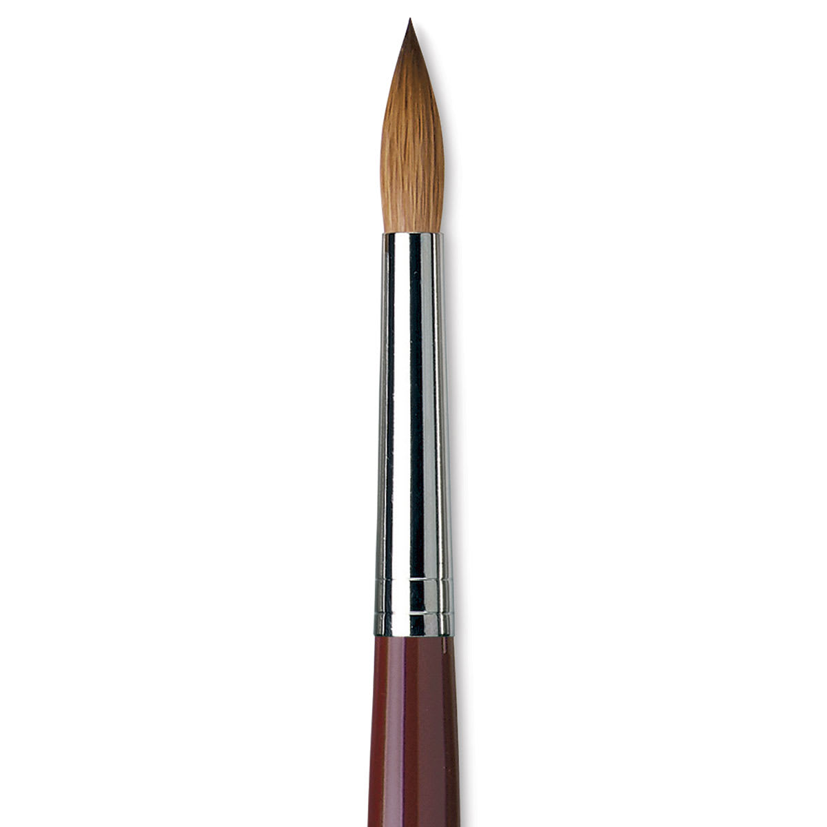 Da Vinci Kolinsky Red Oil Sable Brush - Round, Long Handle, Size 18 close up