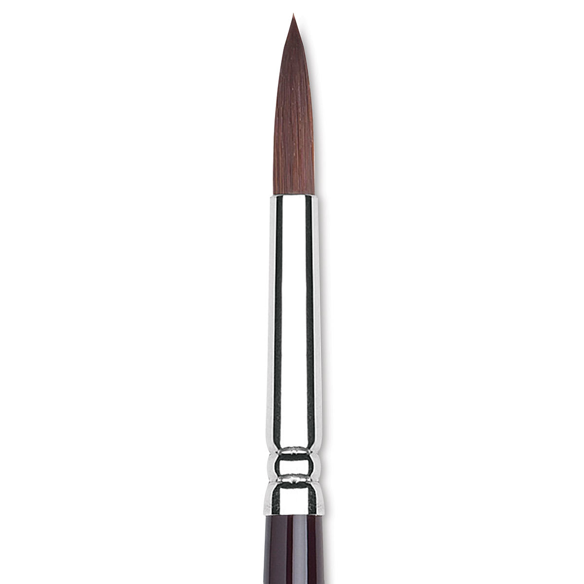 Winsor & Newton Galeria Brush - Filbert, Size 8, Long Handle