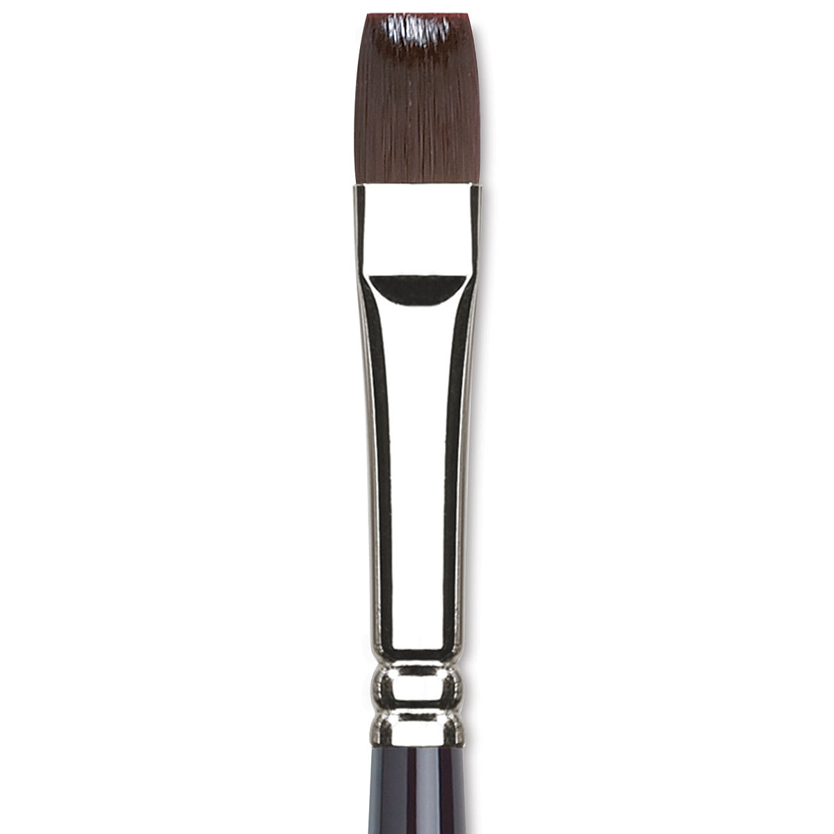 Winsor & Newton Galeria Brush - Bright, Size 12, Long Handle (close-up to show brush head)