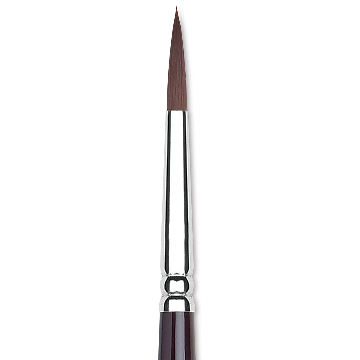 Winsor & Newton Galeria Brush - Round, Size 6, Short Handle (close-up to show brush head)