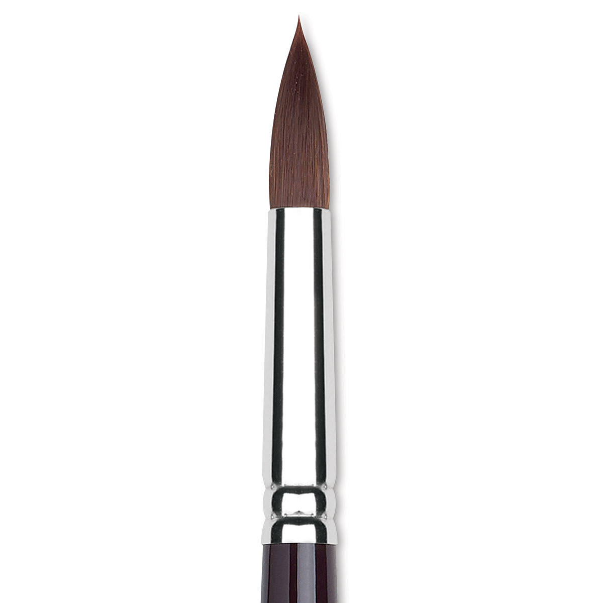 Winsor & Newton Galeria Brush - Round, Short Handle , Size 12 close up