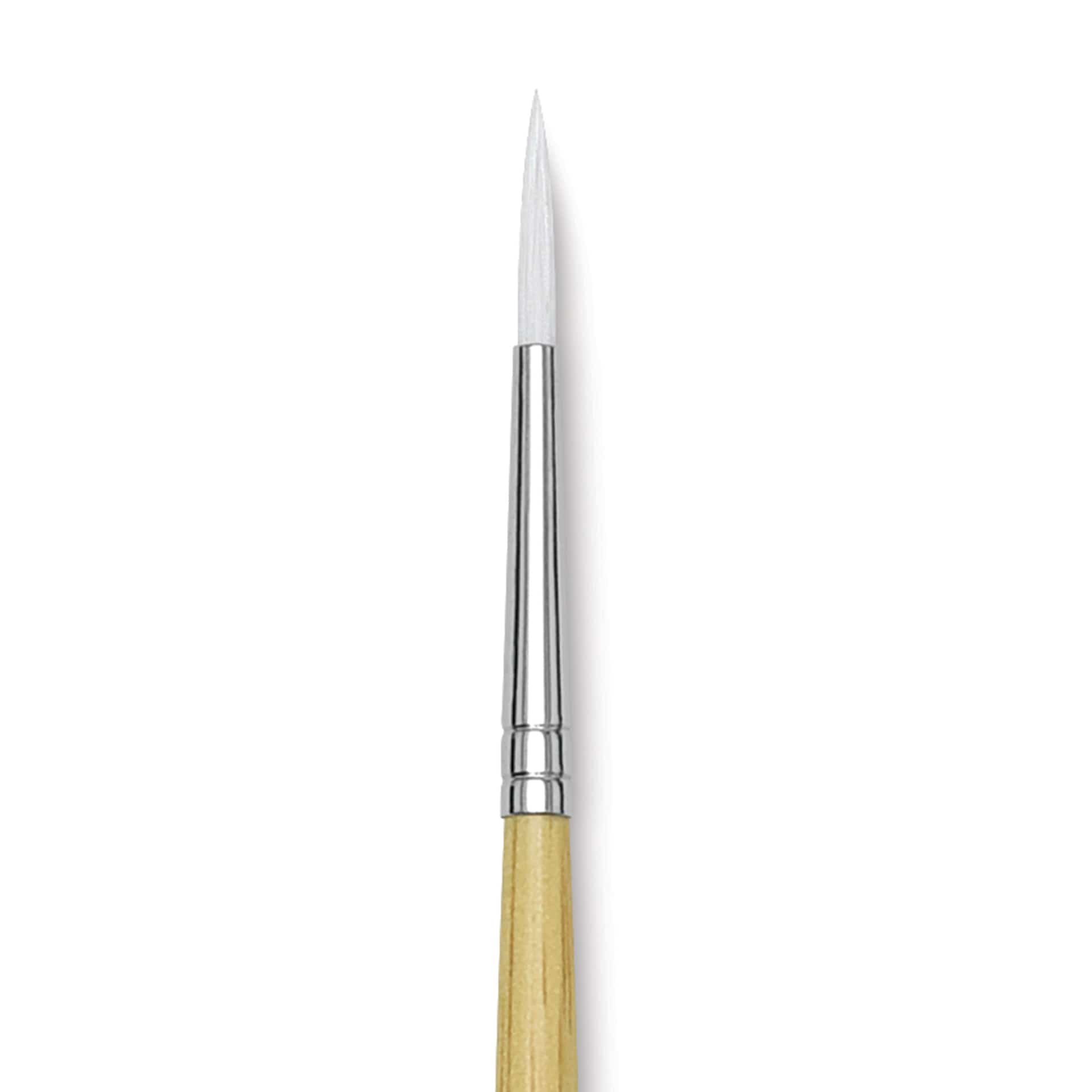 Blick Academic White Synthetic Brush - Round, Size 4, close-up
