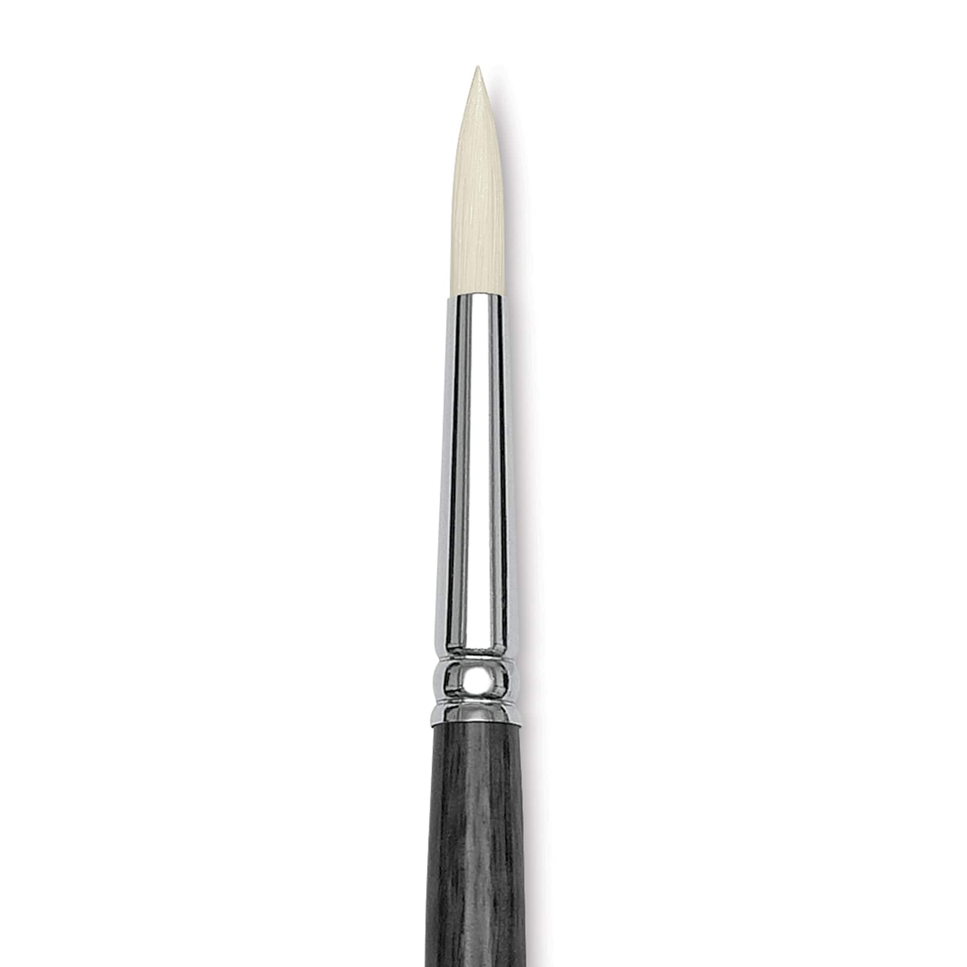 Blick Studio Synthetic Brush - Round, Long Handle, Size 8, close-up