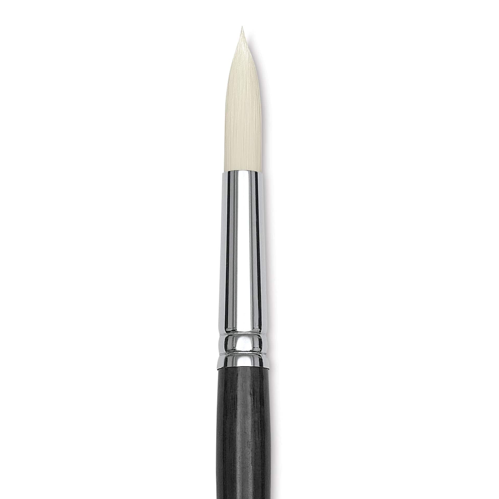 Blick Studio Synthetic Brush - Round, Long Handle, Size 16, close-up