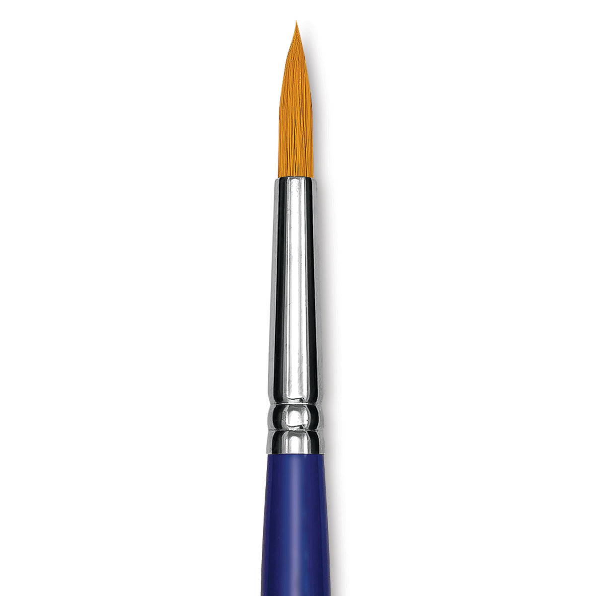 Blick Scholastic Golden Taklon Brush - Round, Long Handle, Size 10 close up